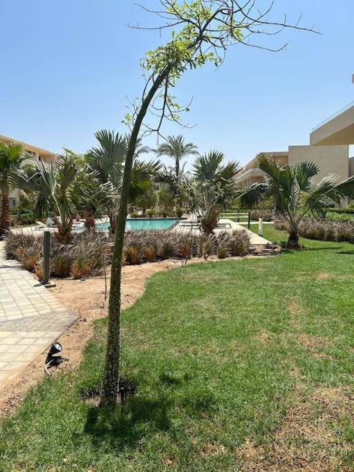 Peaceful 1BR studio at G-Crib El Gouna view 5