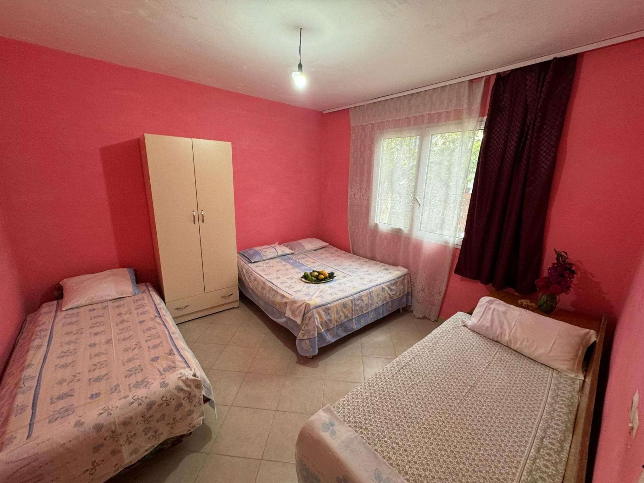 Guest House Shaban Muça photo 4