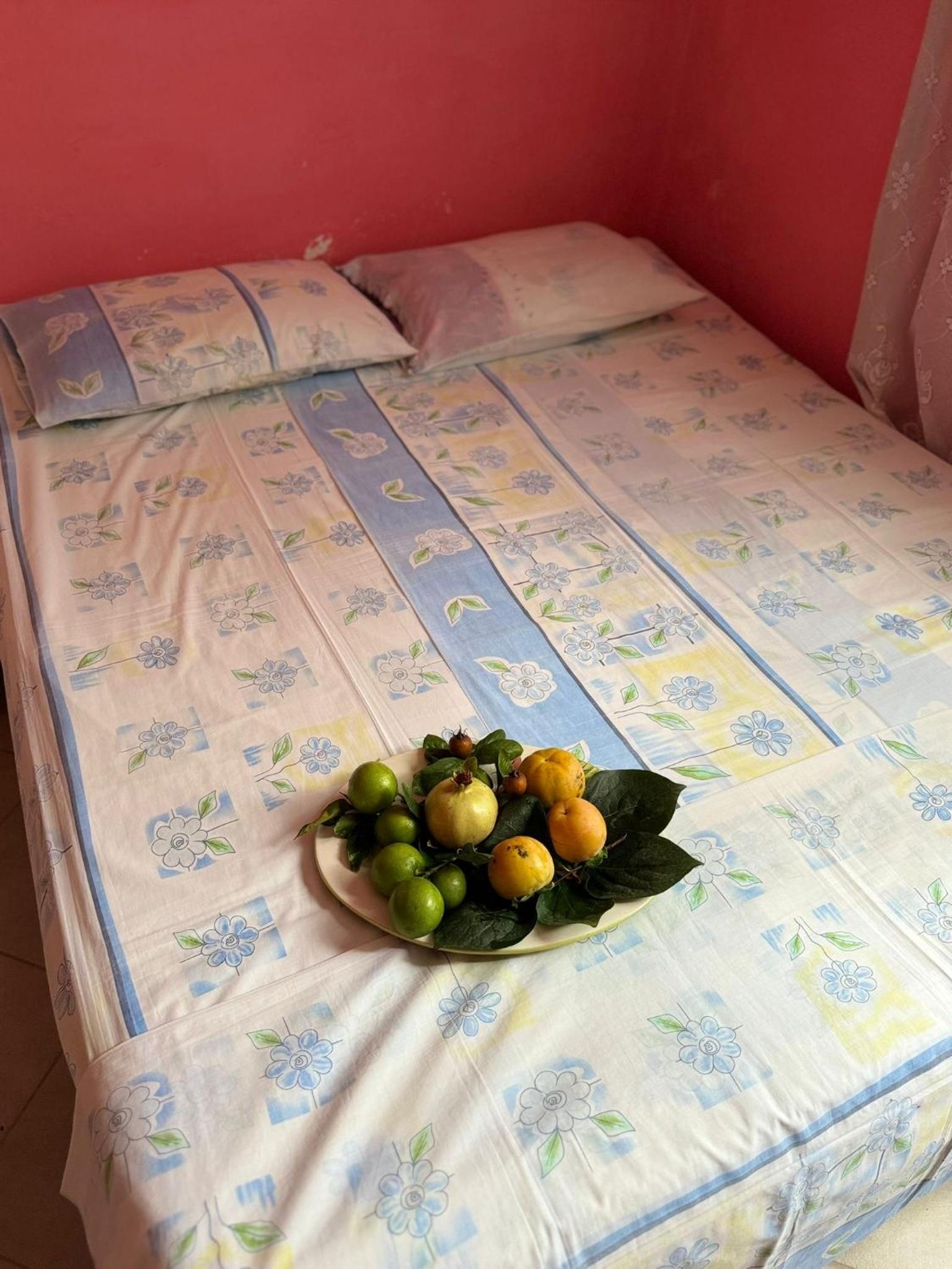 Guest House Shaban Muça photo 2