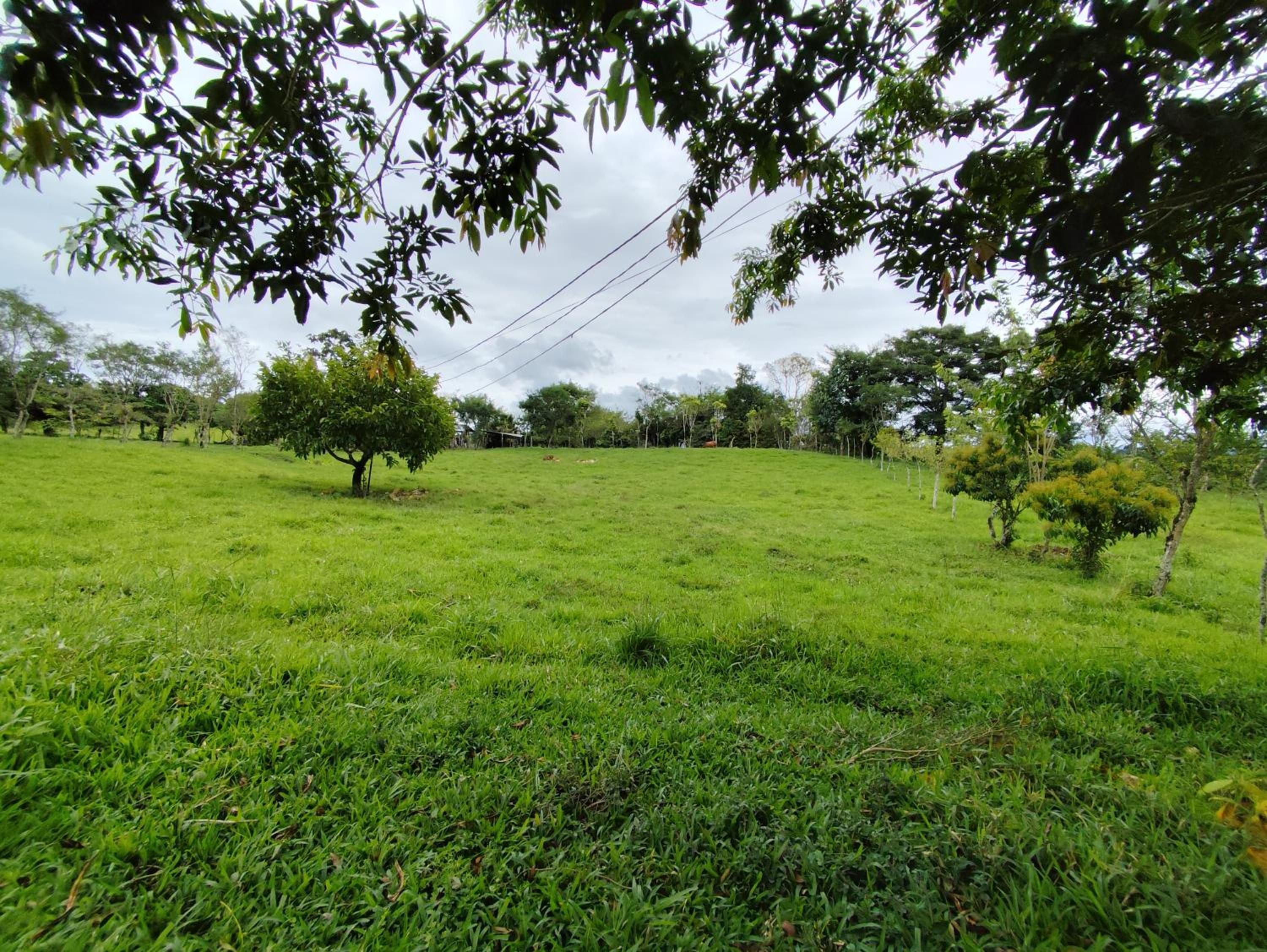Hospedaje refugio en el Bosque
