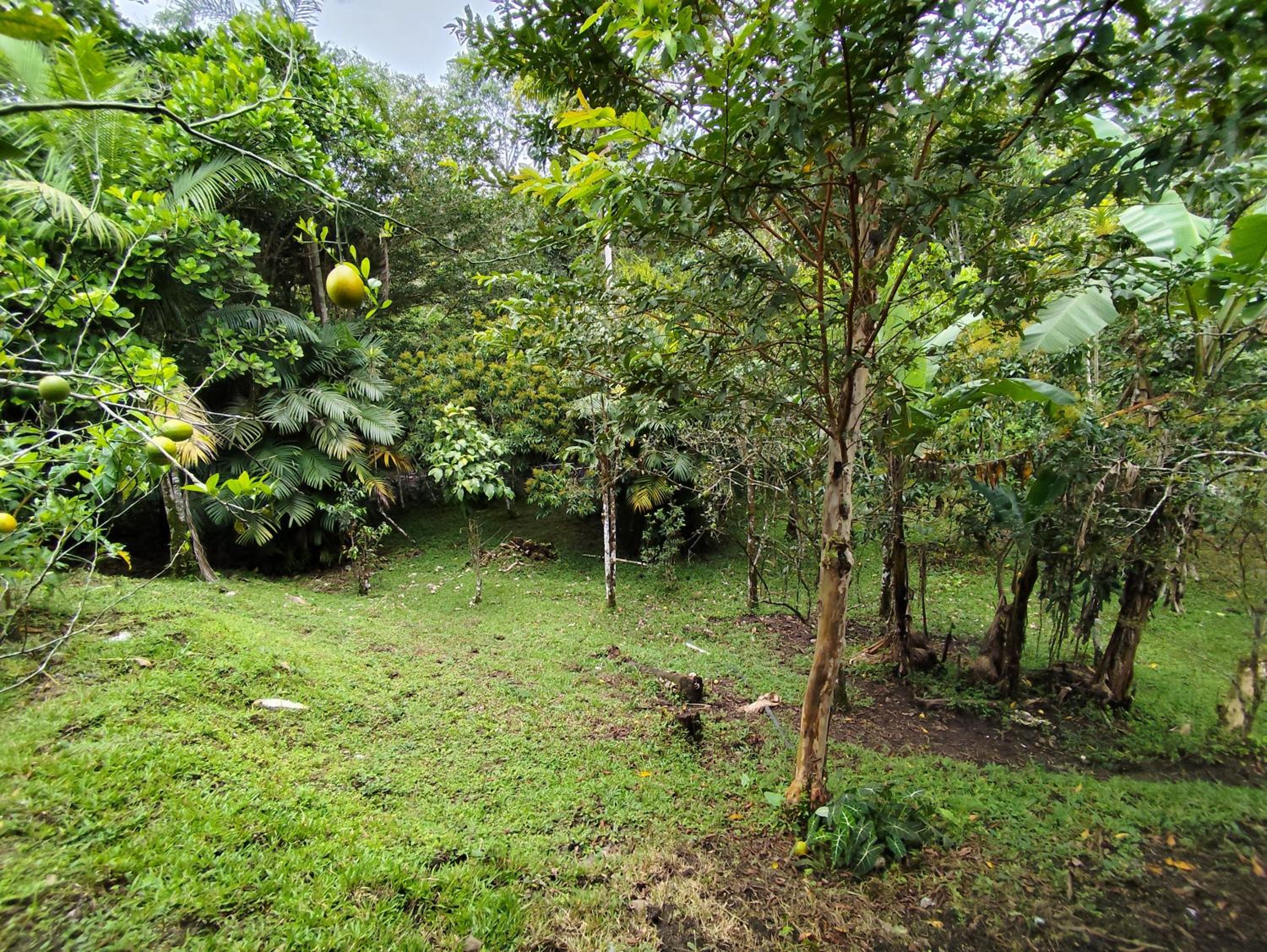 Hospedaje refugio en el Bosque