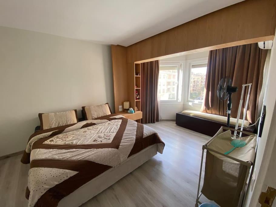 The Cozy Apartment