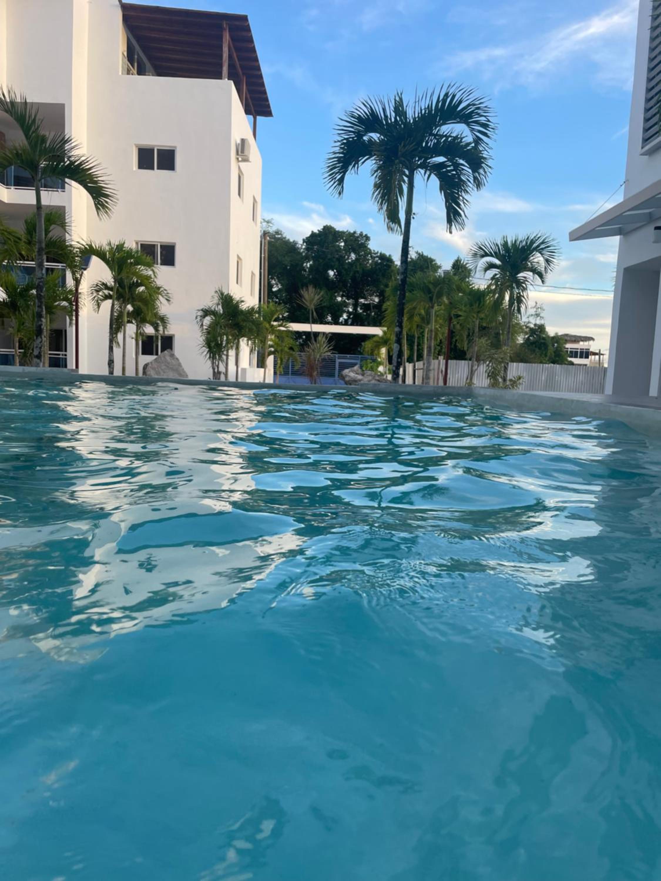 Flor de Bayahibe