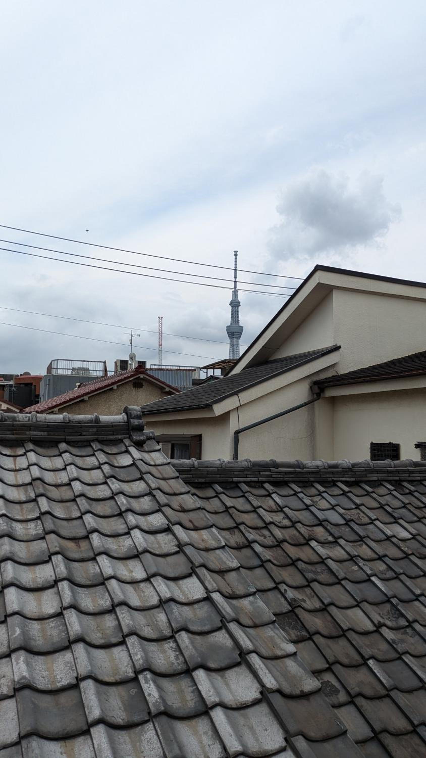 Tokyo Skytree Tower・Asakusa Ashiana Guest House