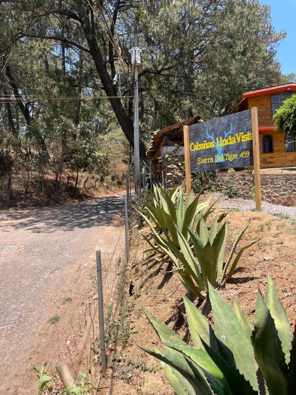 Linda Vista 3