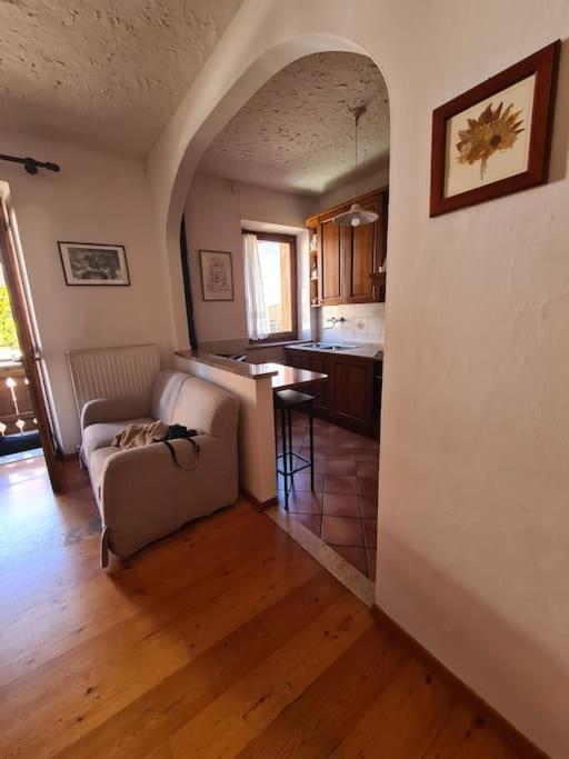 al Monopolio a Pieve di Cadore view 2