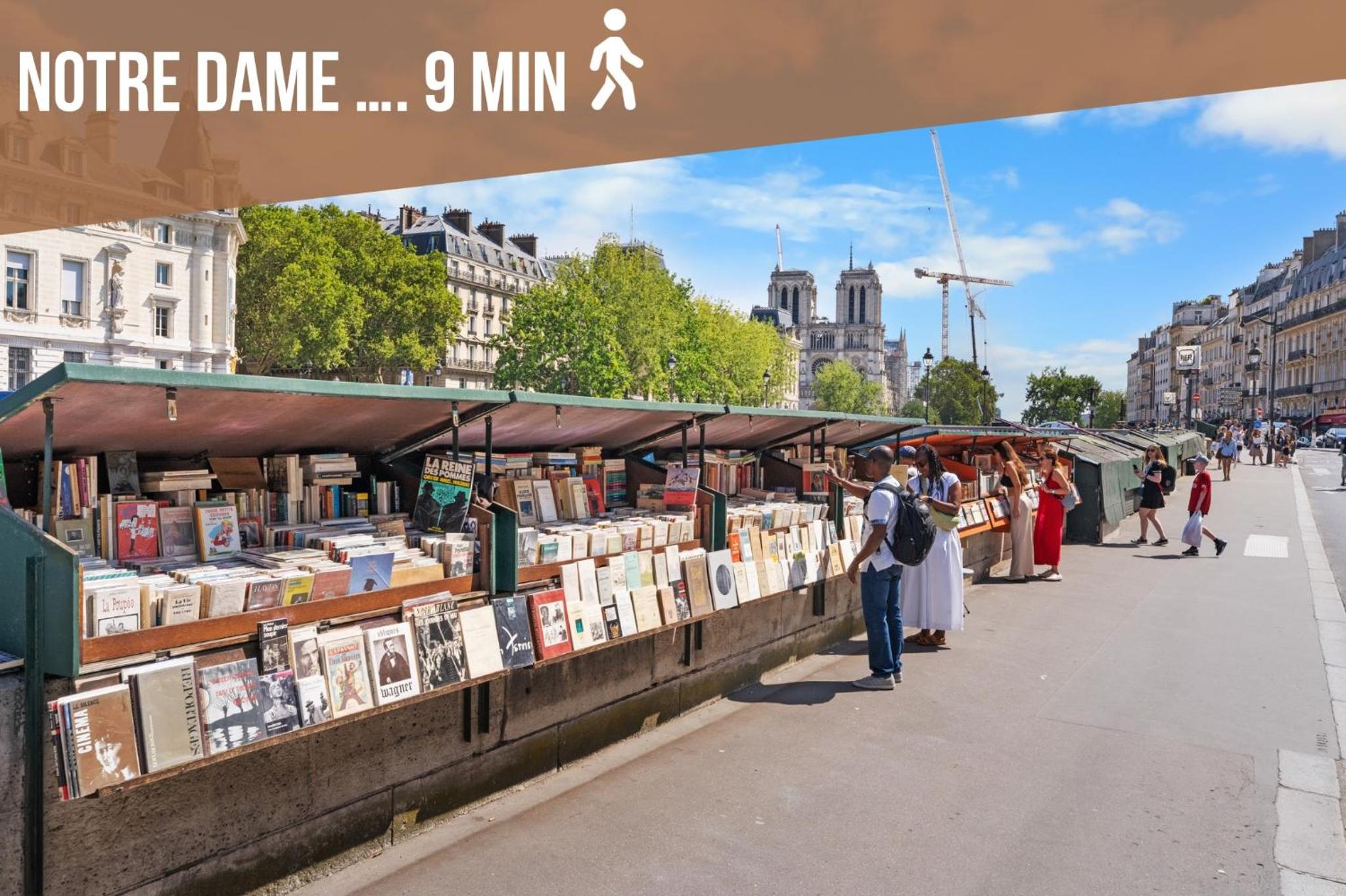 Paris Central Gem 9 Min Walk to Notre-Dame and Louvre