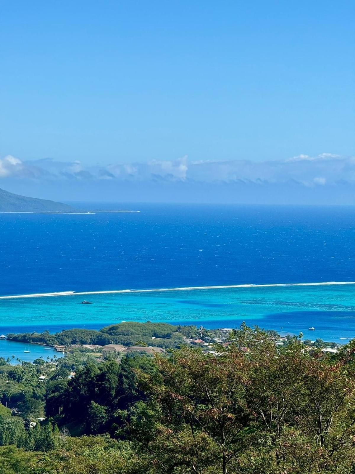 Hotel Logement Tahiti Punaauia Confort Avec Piscine