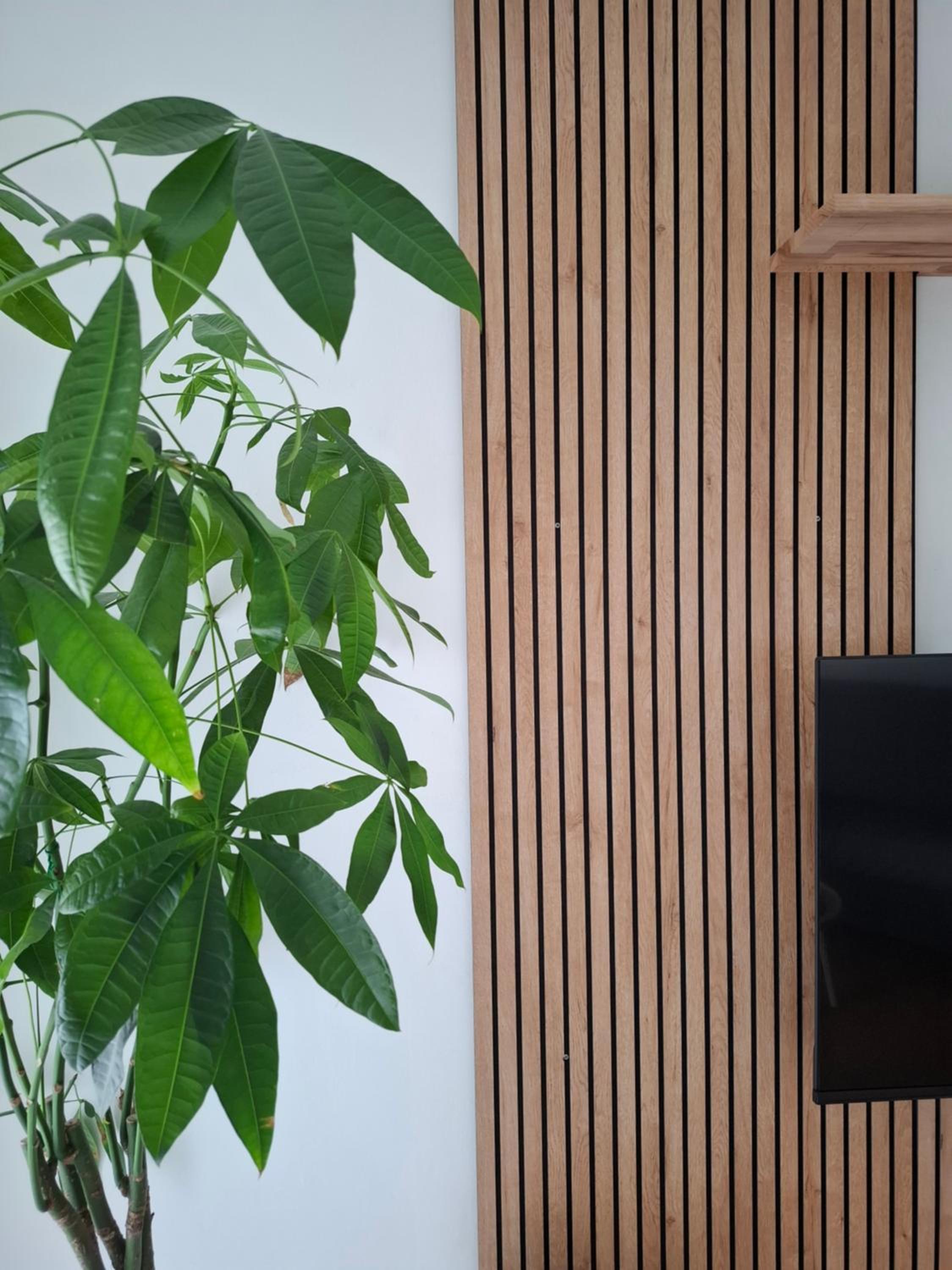 MAYA's HOME view 3