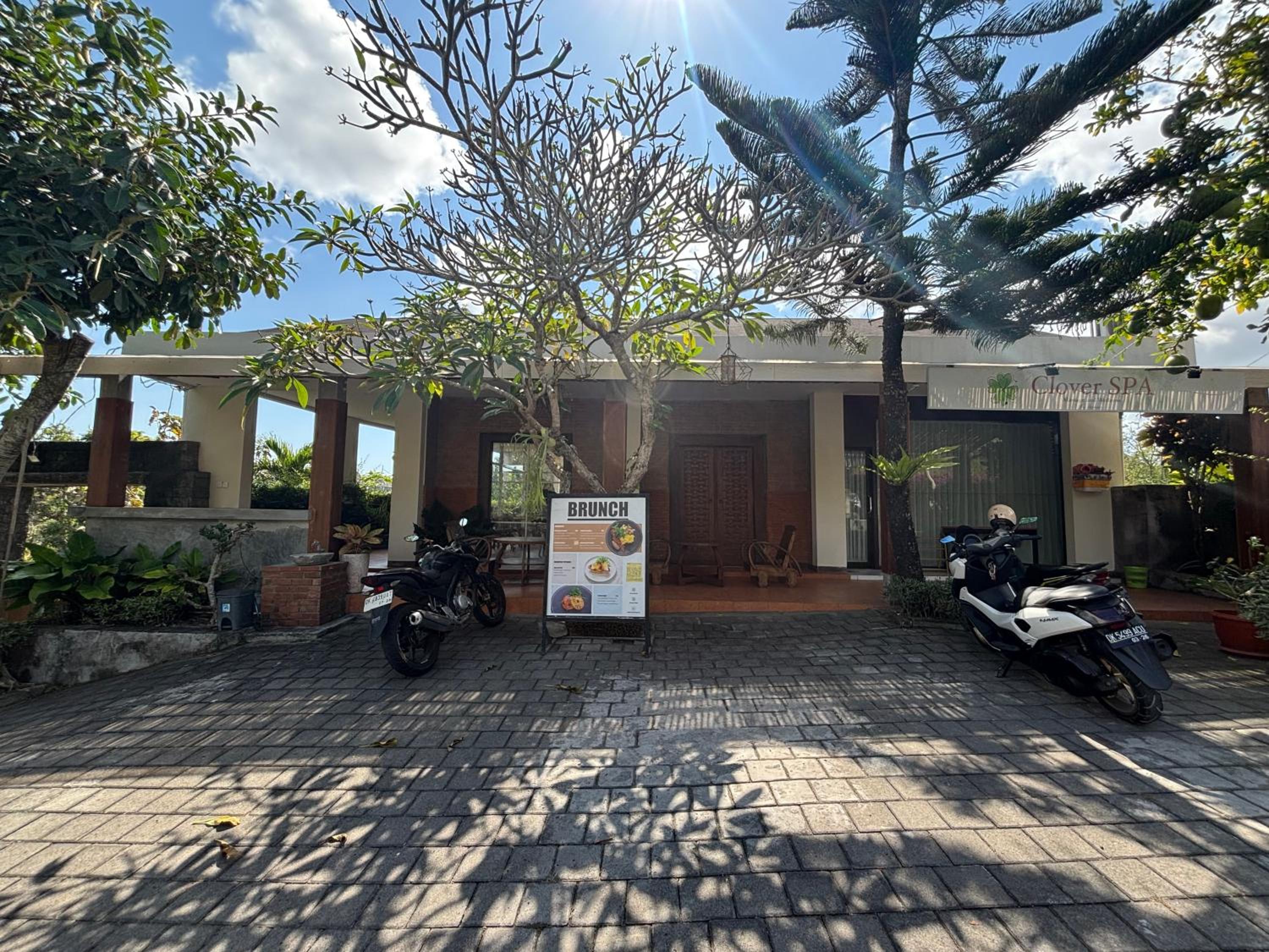 Clover Bali