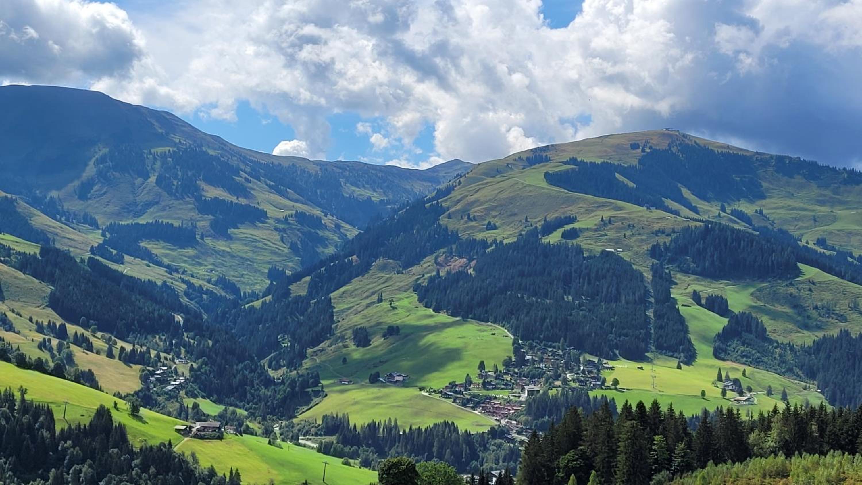 Sweet Panorama