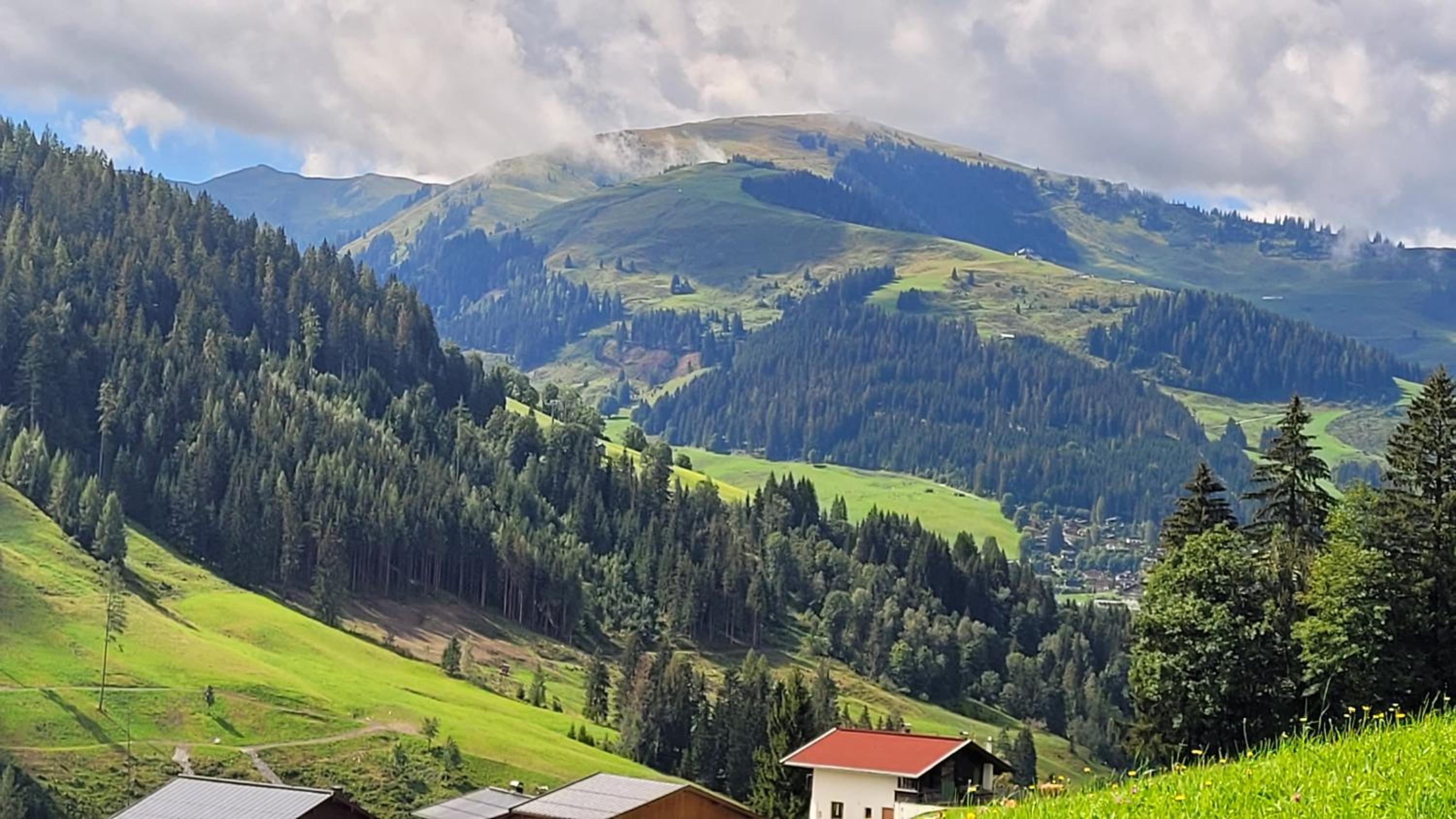 Sweet Panorama