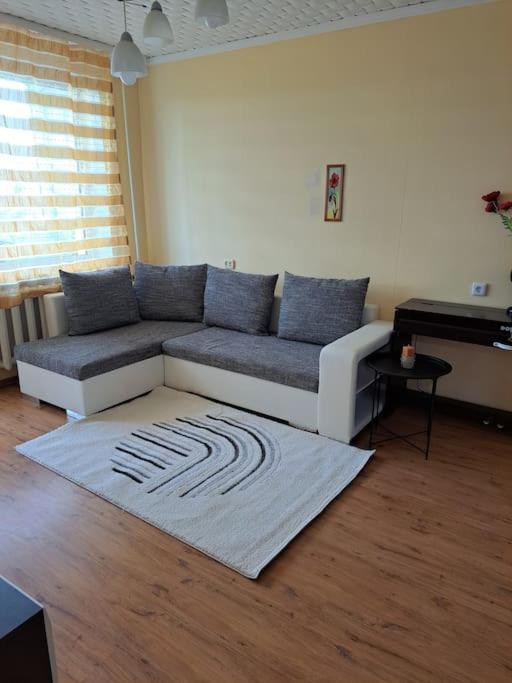 Nakvynė ir poilsis Zarasų mieste visai šeimai view 4