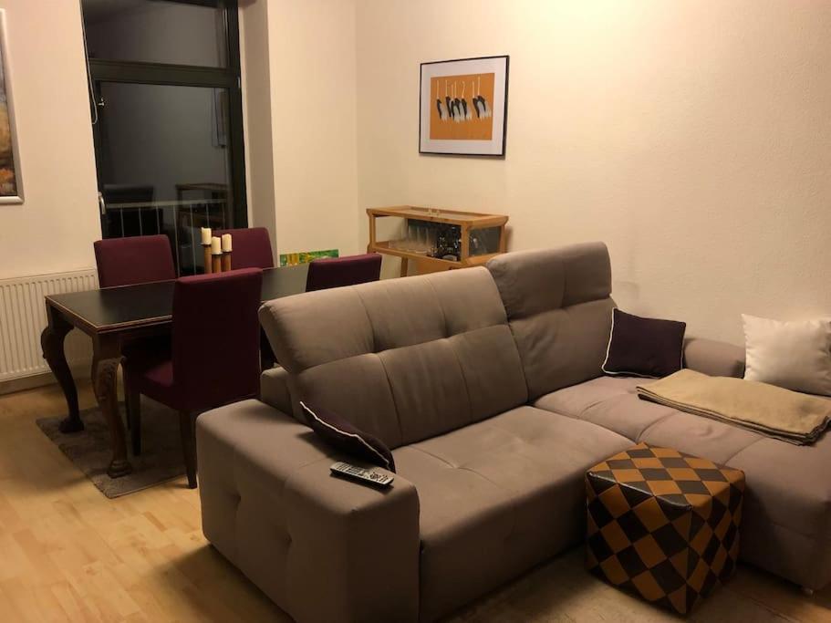 Gemütliche zentrale Wohnung in Zwickau