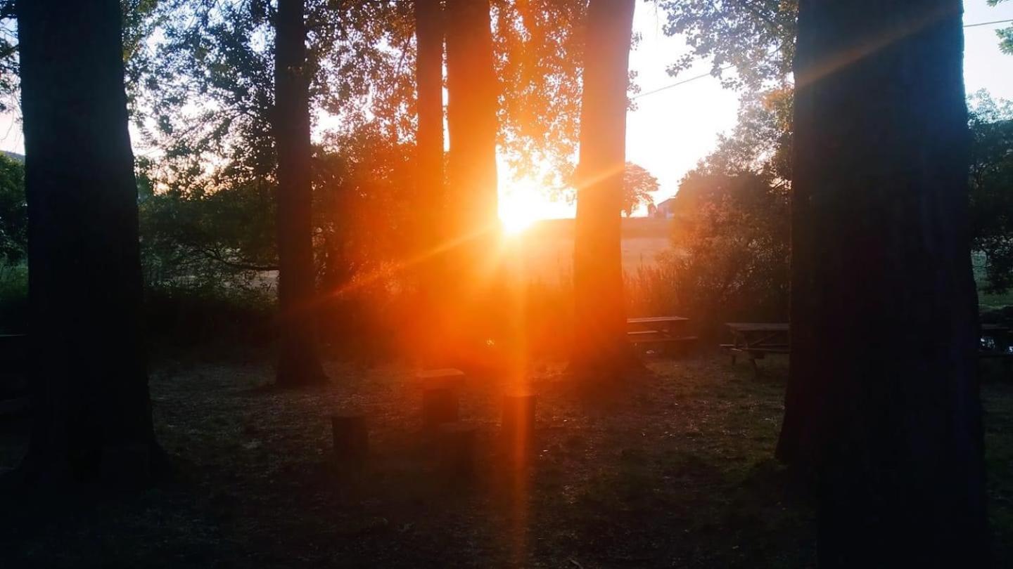 El Pinsapo Casa Rural