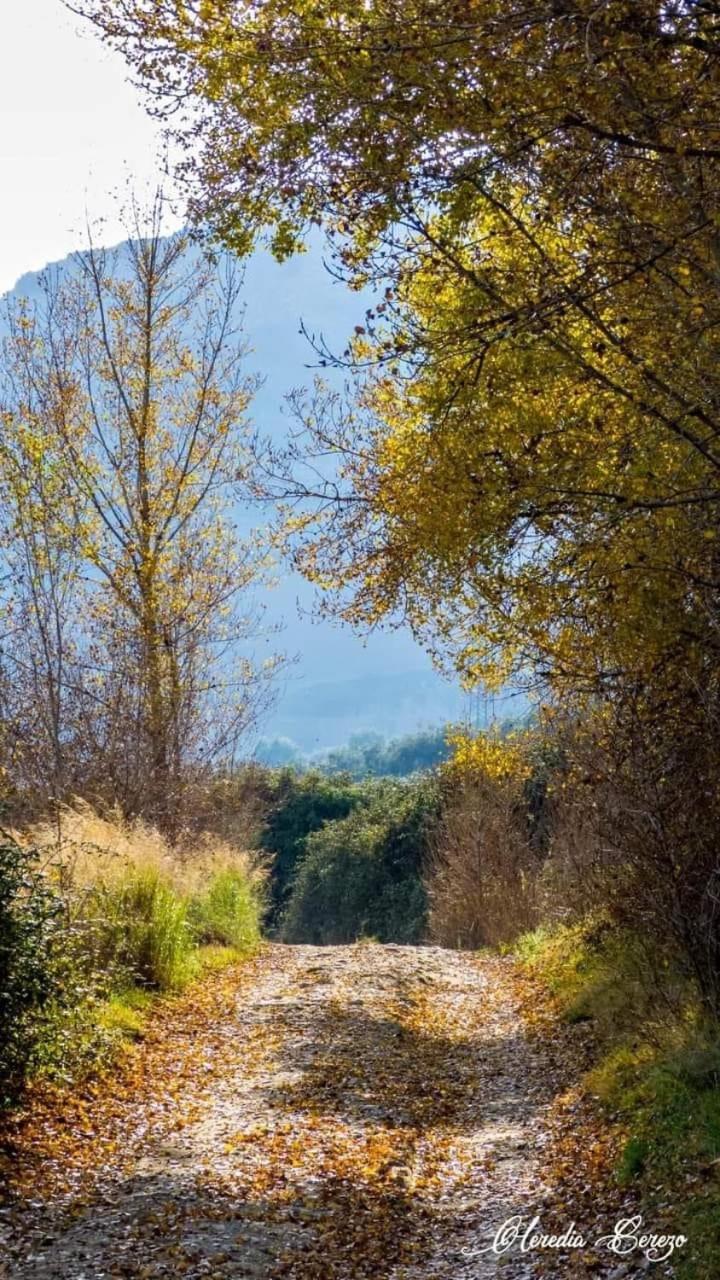 El Pinsapo Casa Rural