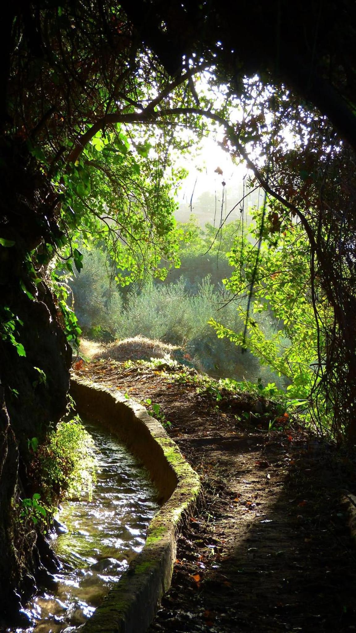 El Pinsapo Casa Rural