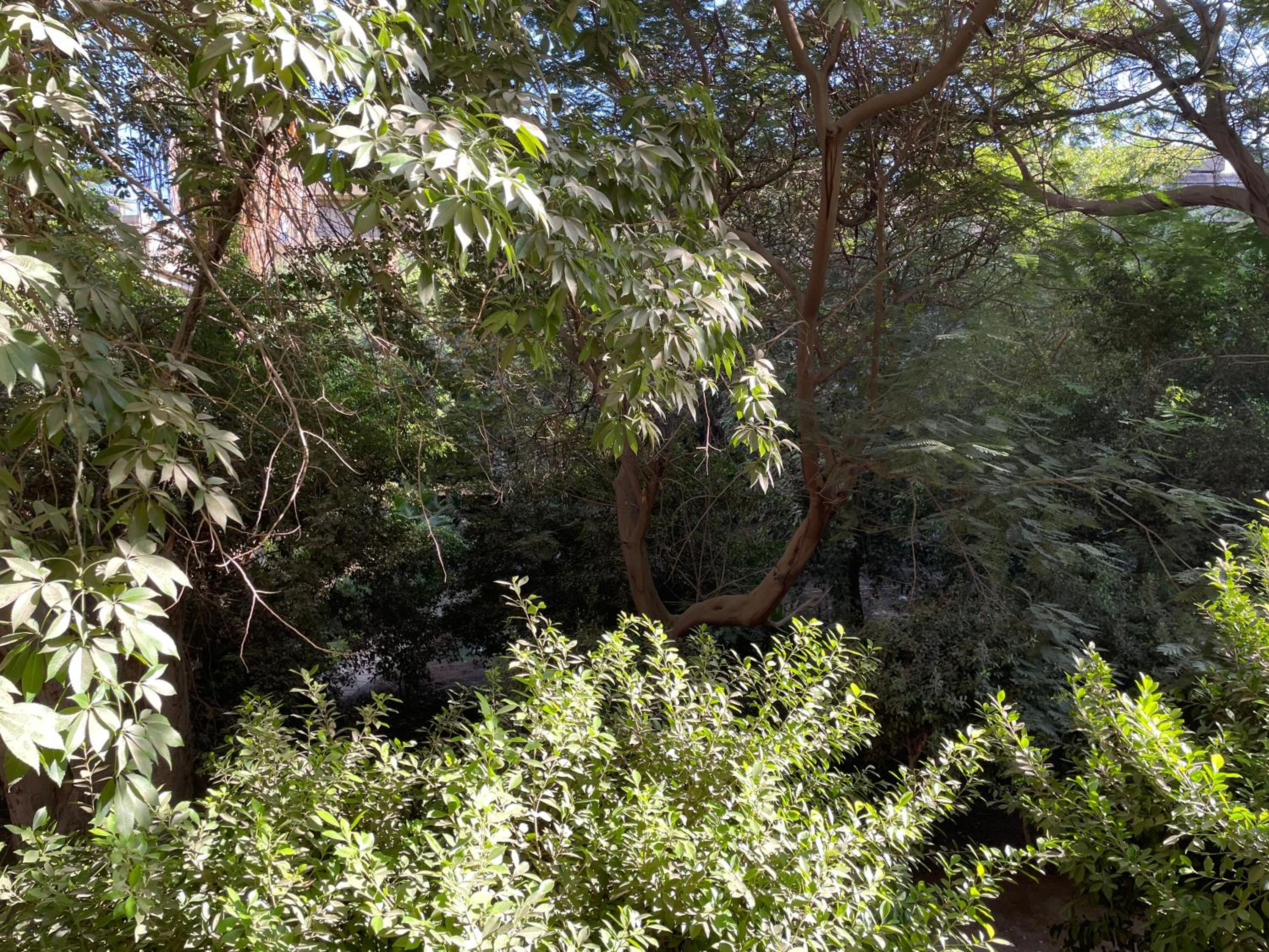 Garden view home-Female only