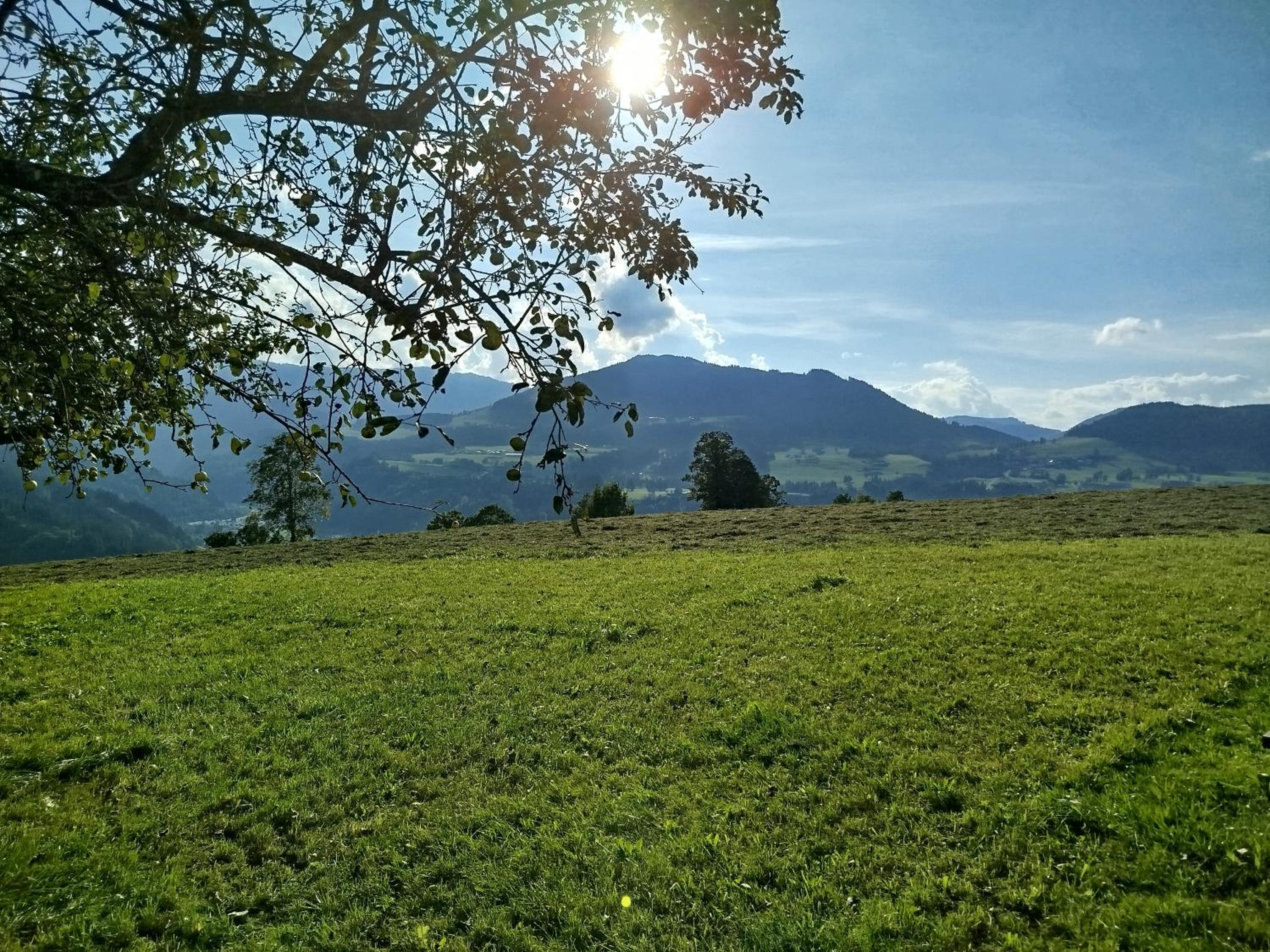 Biobauernhof Schuster