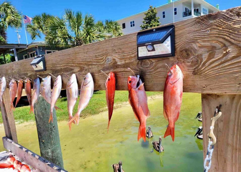 BlueBeachDoor House All Actions near Beach Snowbirds Pet Kids Friendly view 4