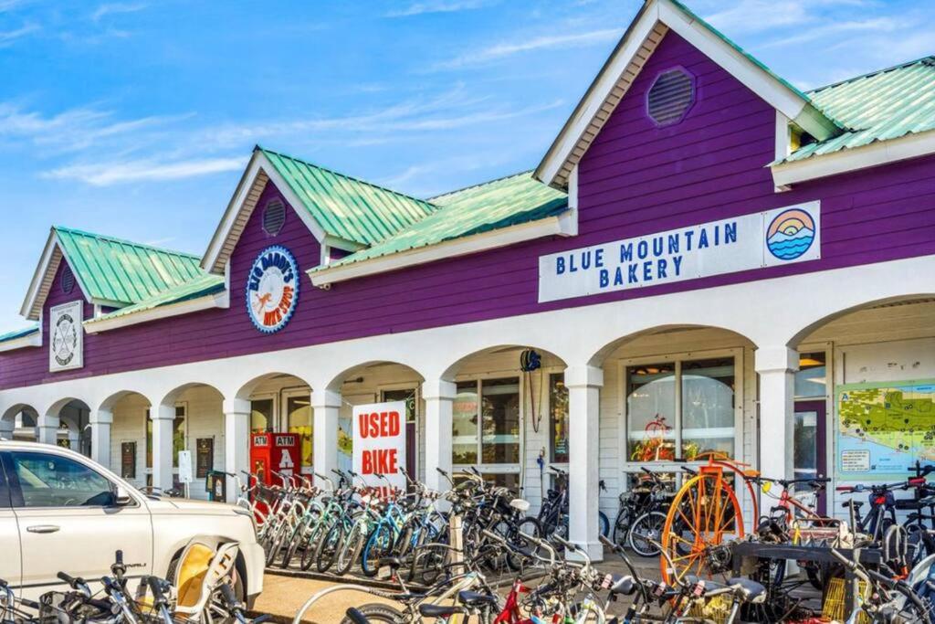BlueBeachDoor House All Actions near Beach Snowbirds Pet Kids Friendly view 5