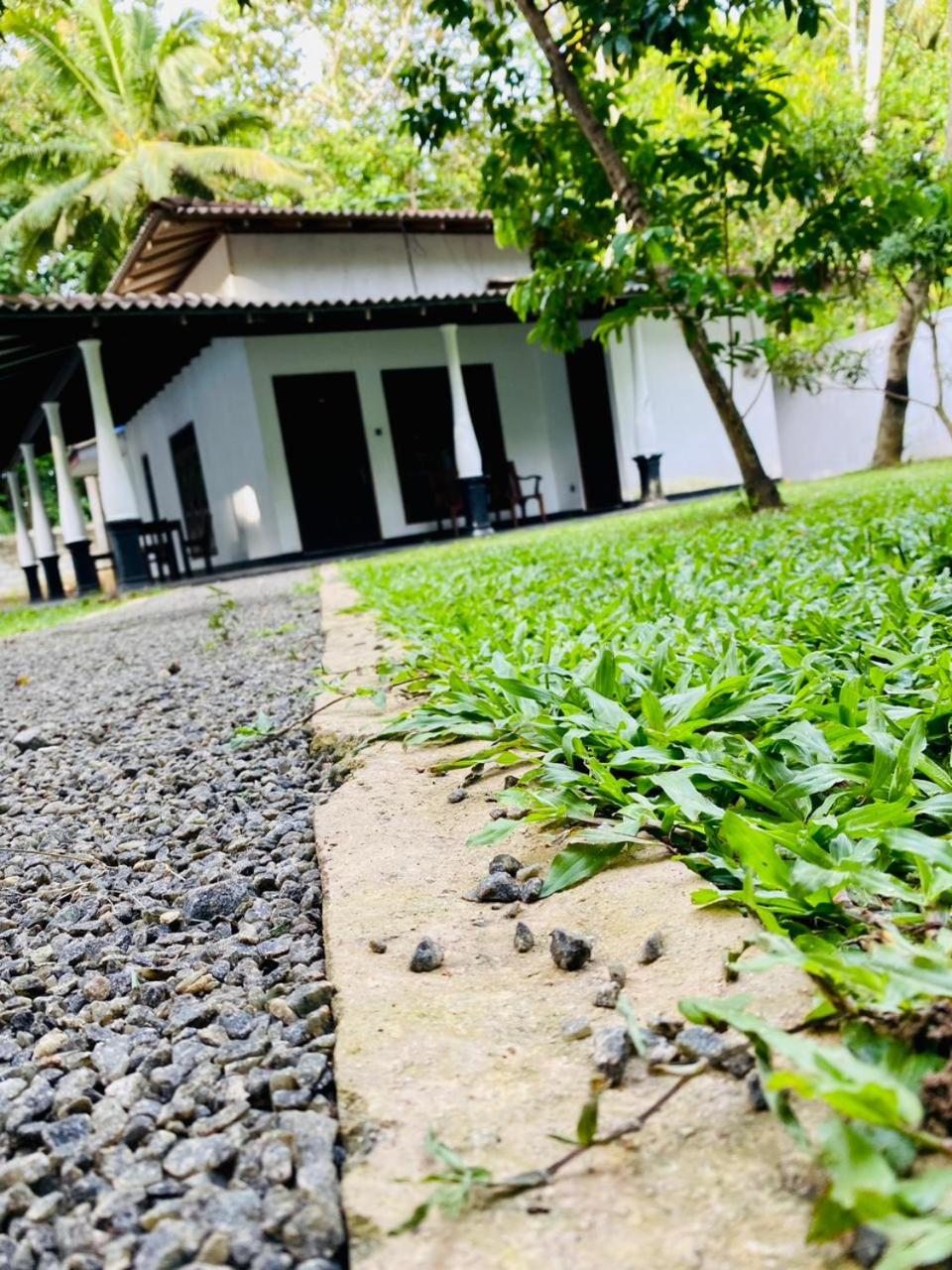 fREEDOM VILA view 3