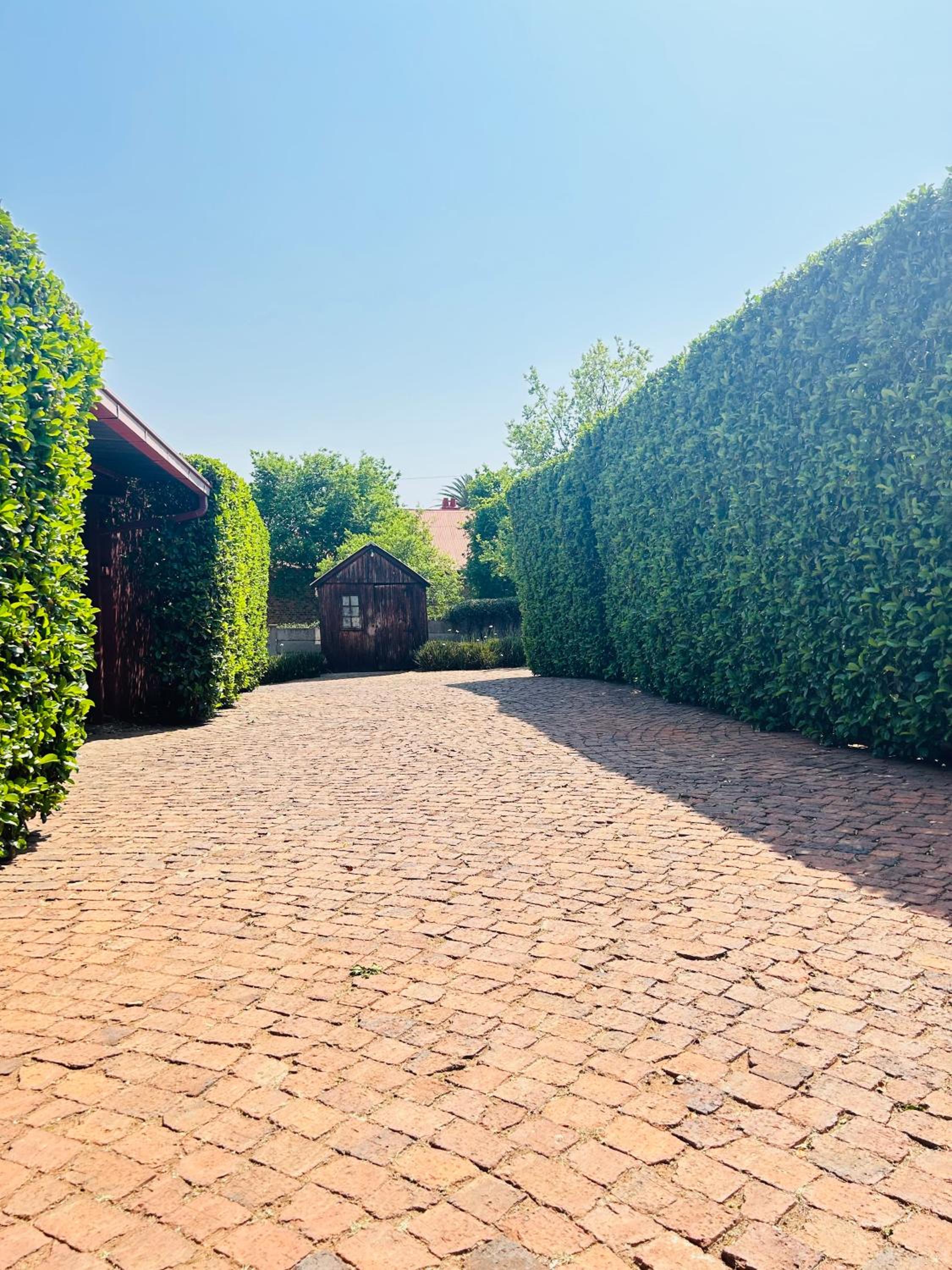 A Botanical Haven in Melville, Johannesburg