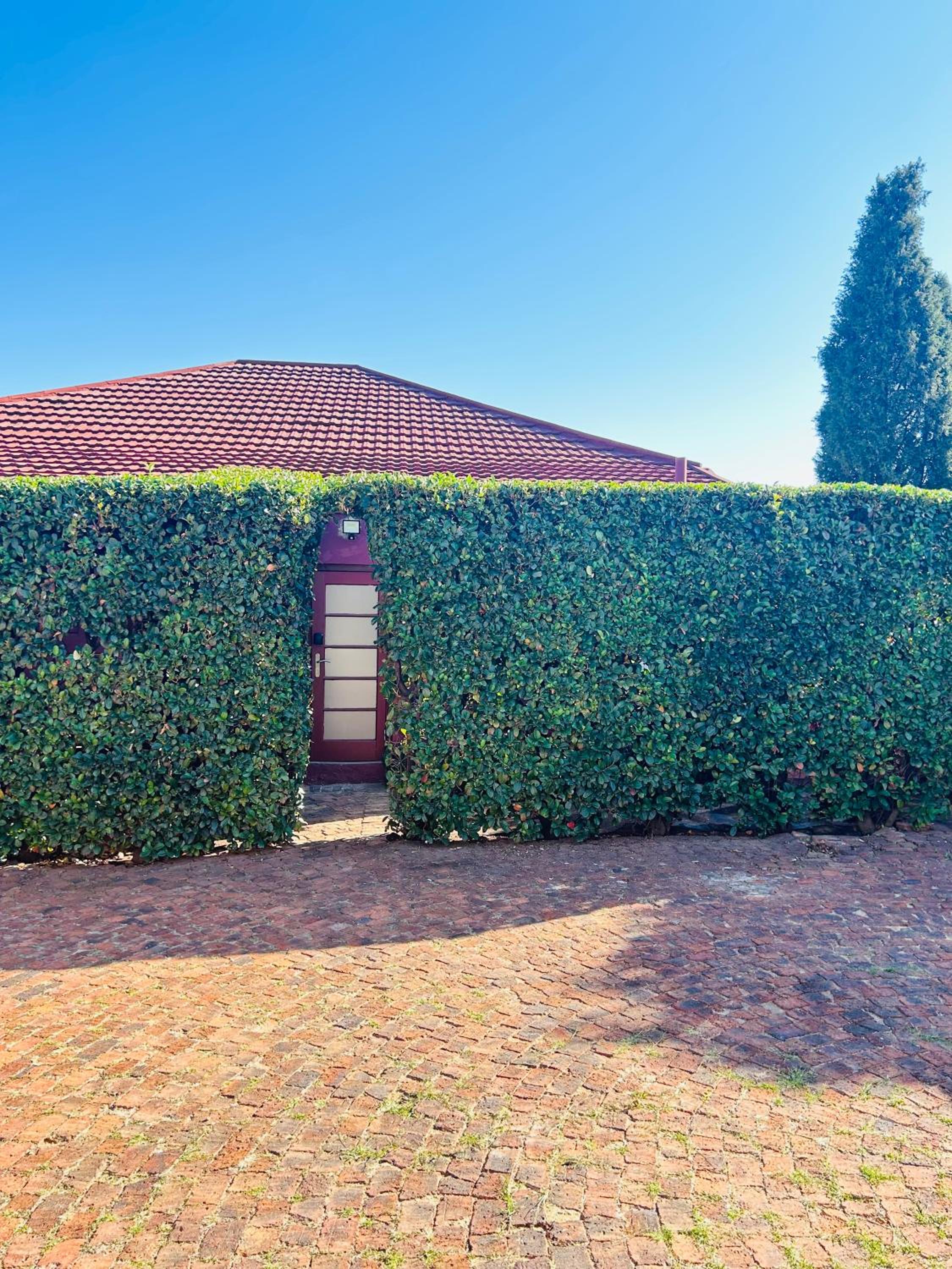 A Botanical Haven in Melville, Johannesburg
