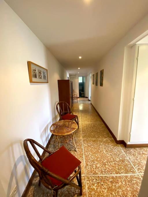 The Lemon Trees House