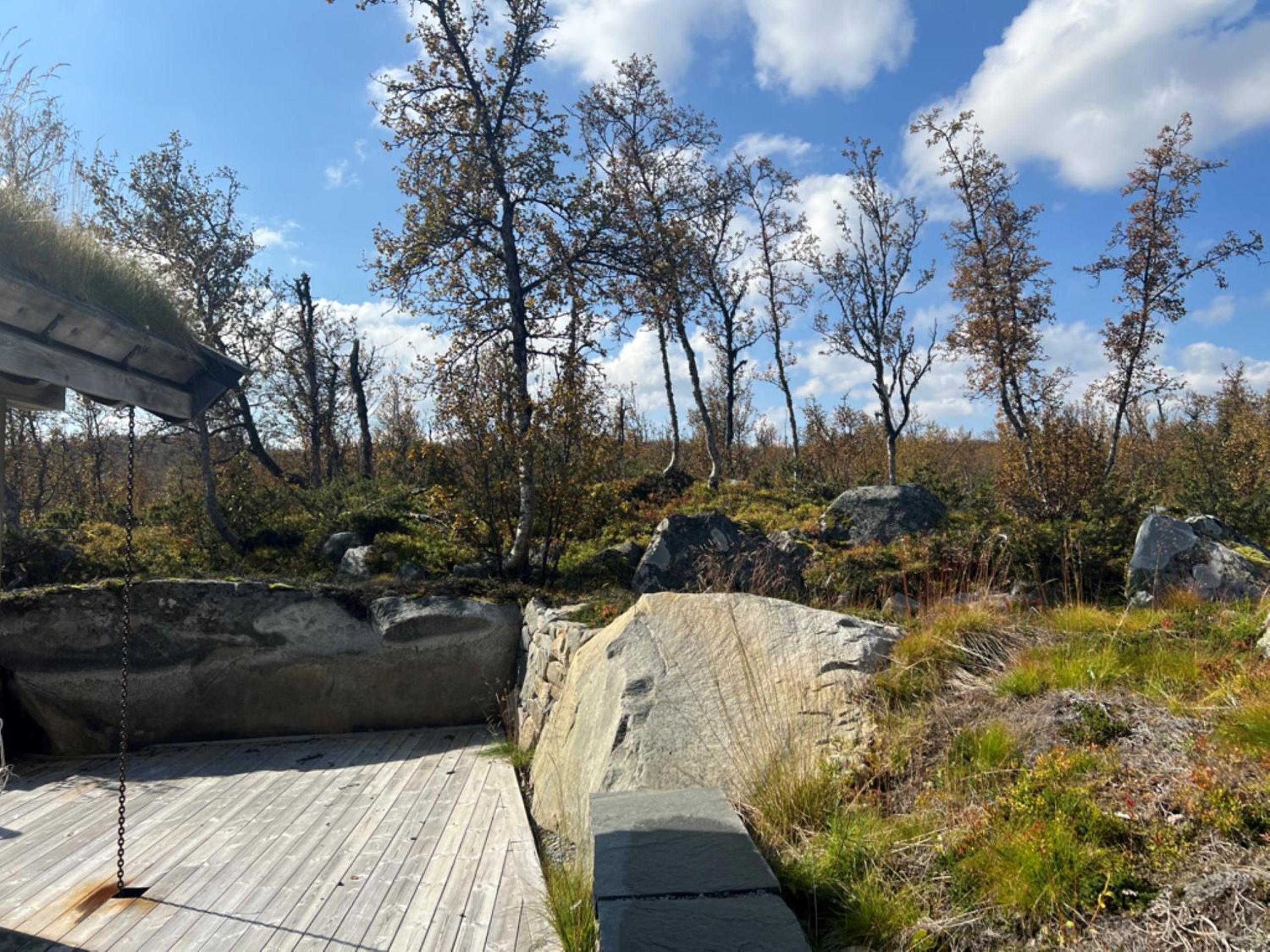Spacious, exclusive and modern cabin in Geilo