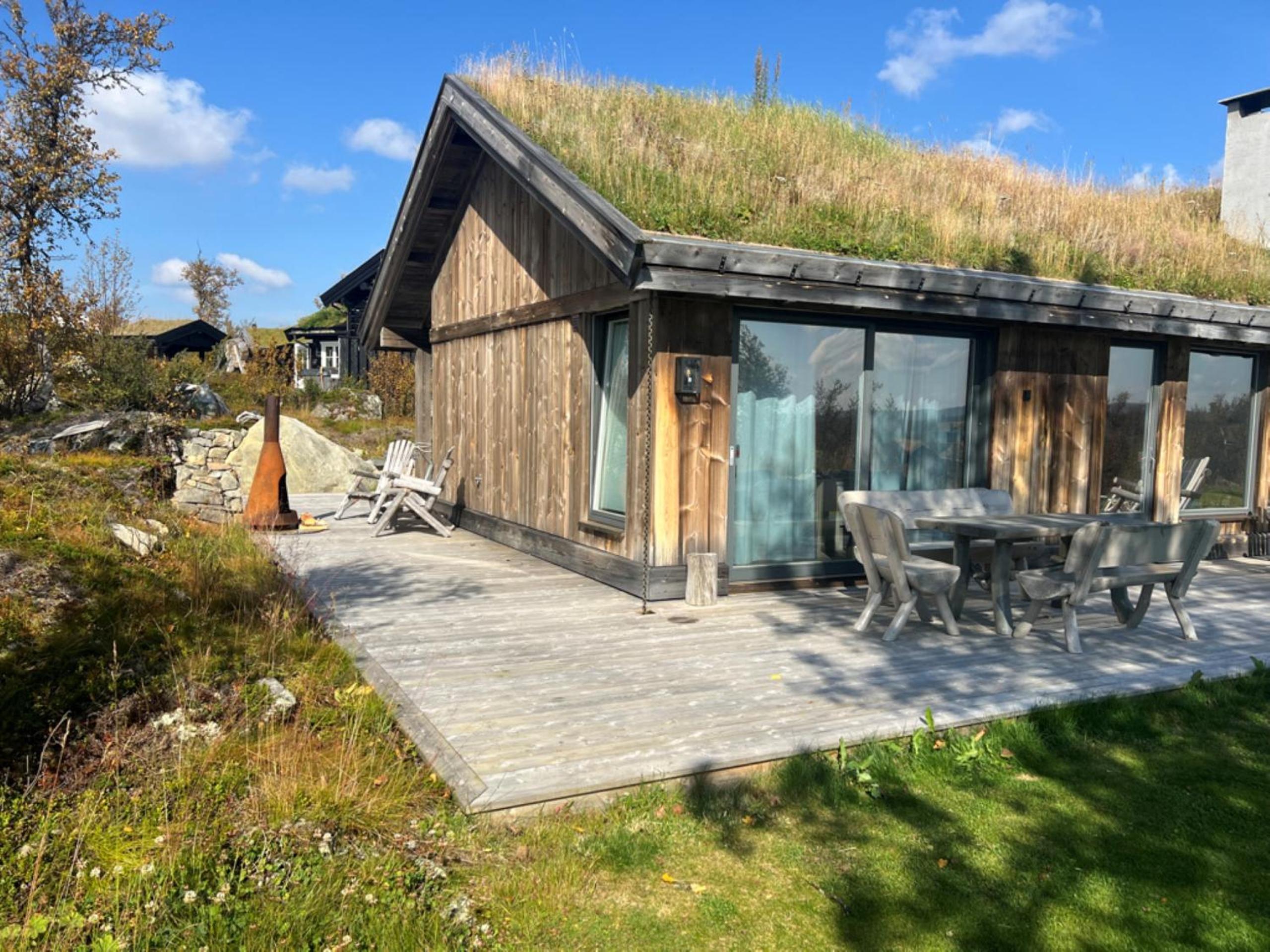 Spacious, exclusive and modern cabin in Geilo