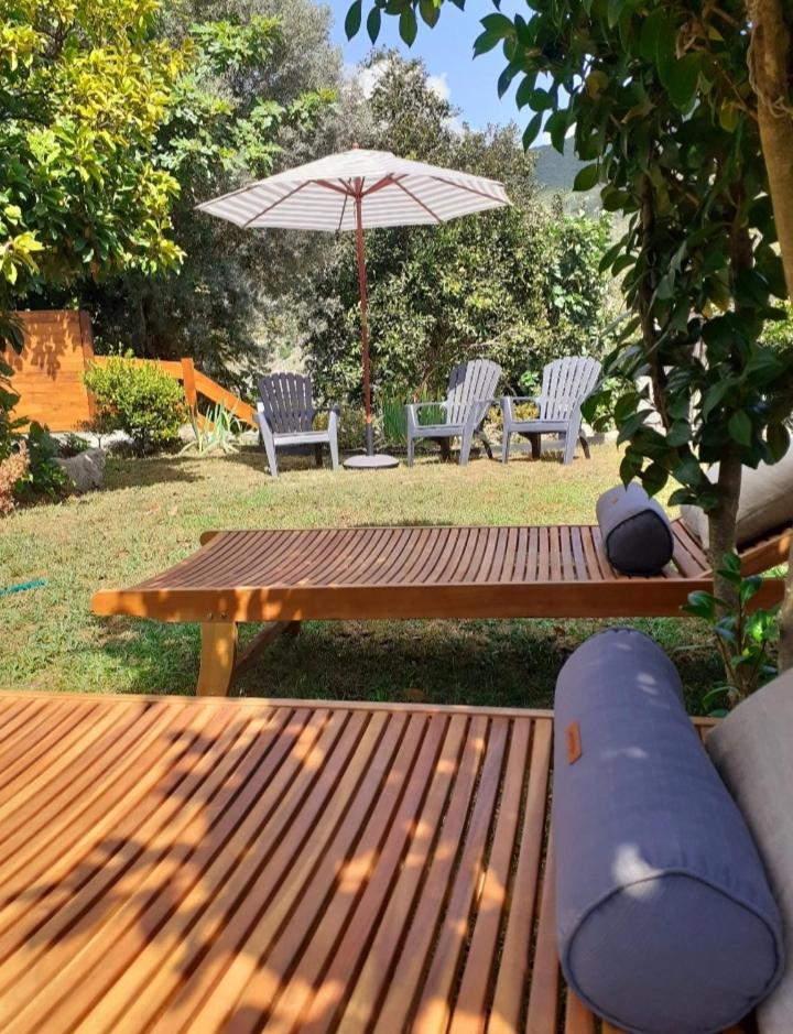 Villa Dos Santos - Gerês Country House view 5