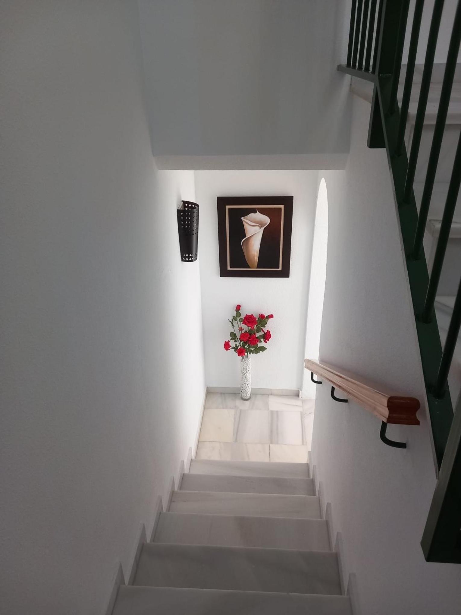 Chalet adosado con piscina