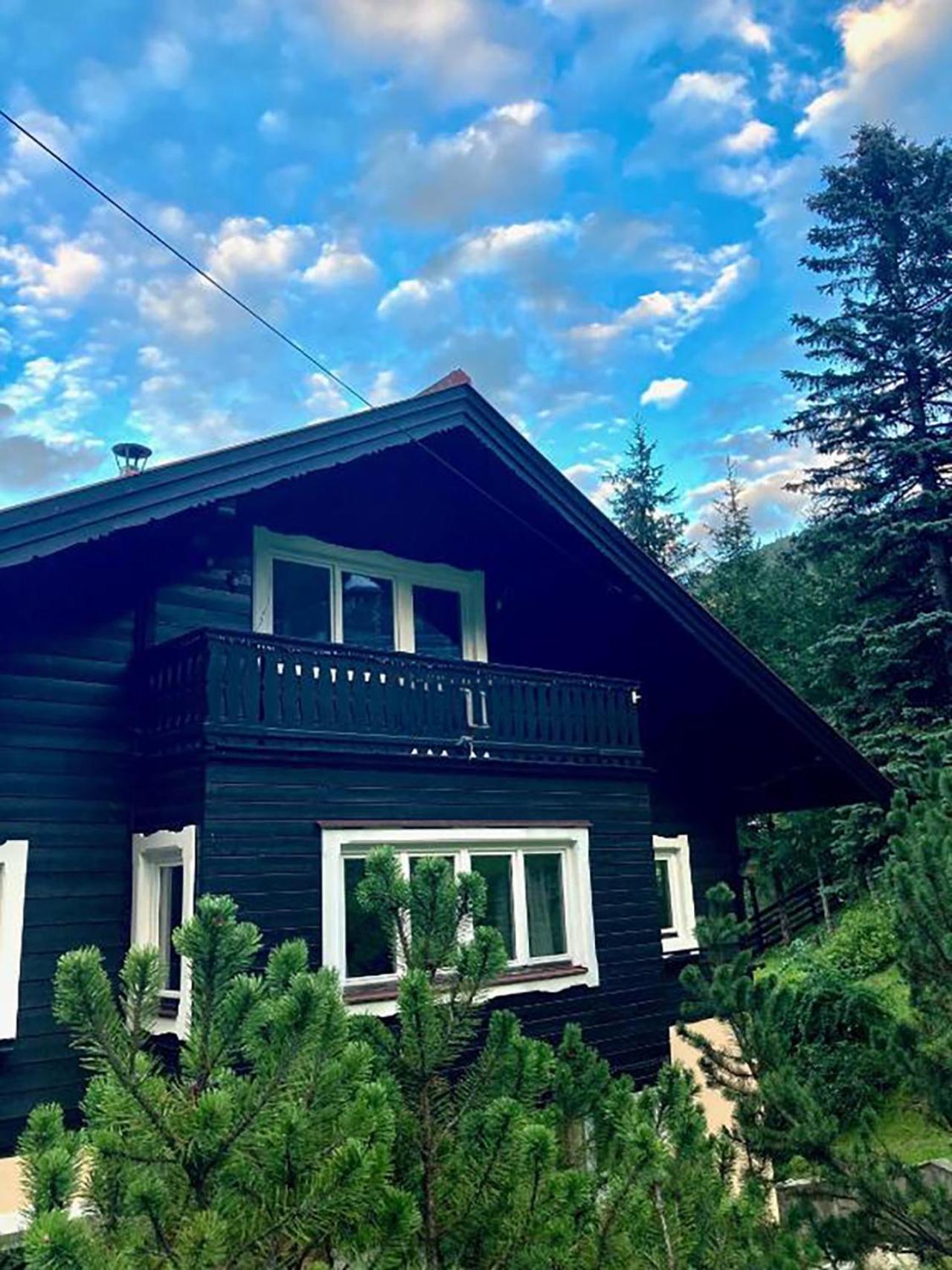 Hotel Chalet Apartment In Bad Gastein