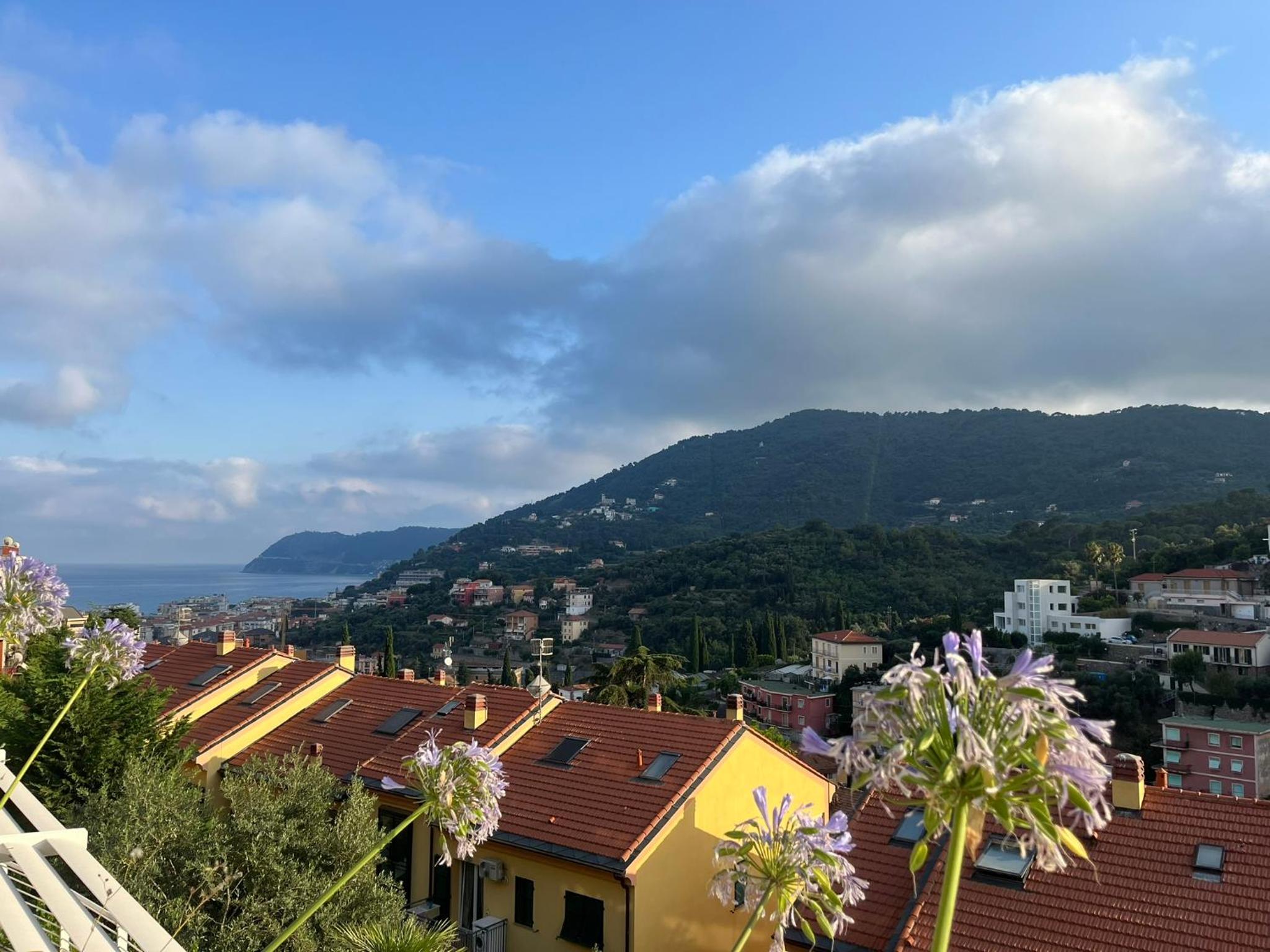 A House with a view