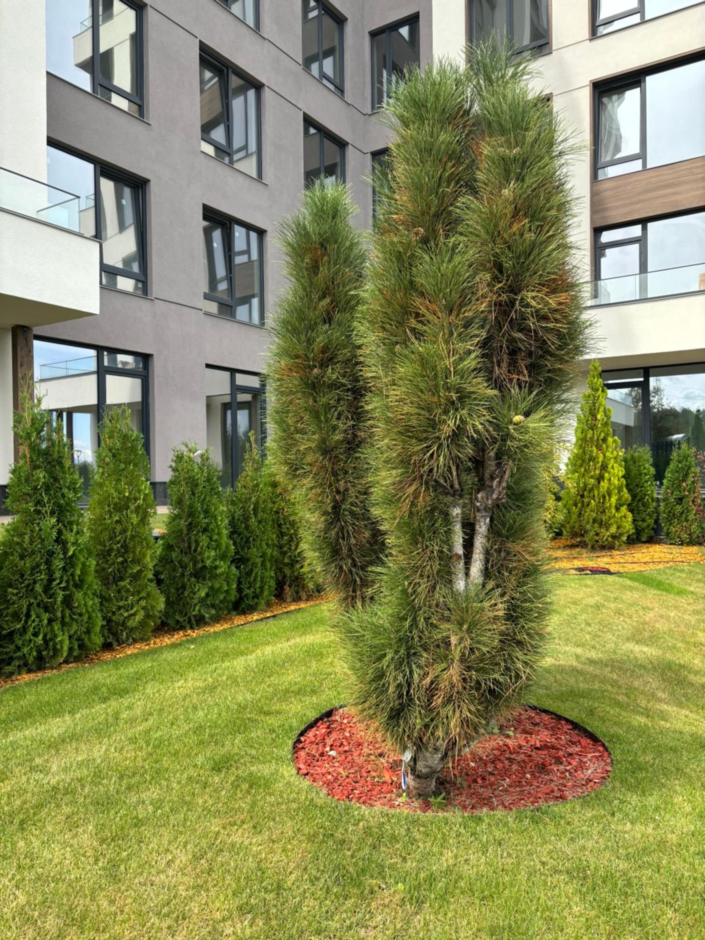 Allegra Sofia Cozy Luxury near Business Park and 10 min to Sofia airport