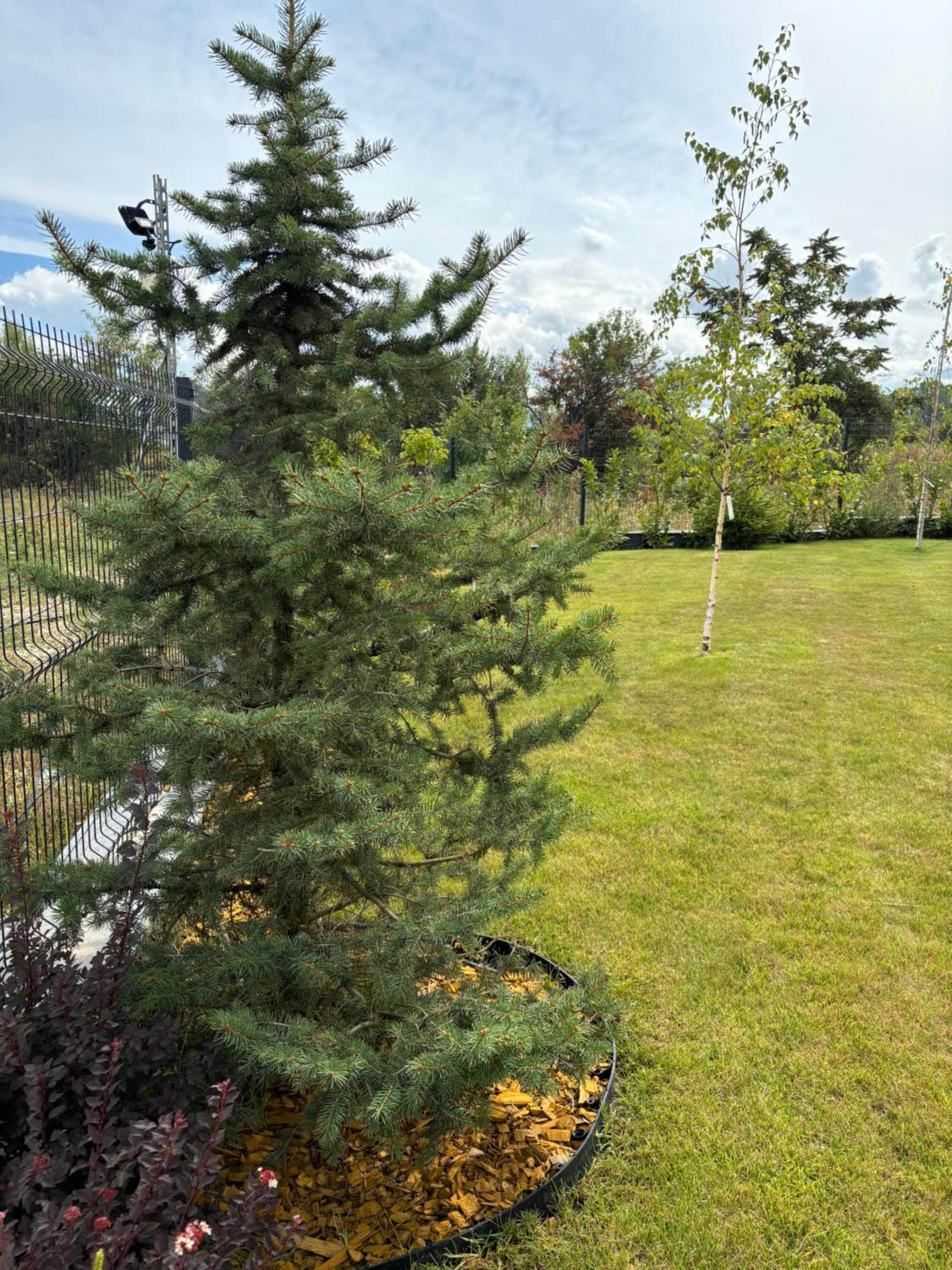 Allegra Sofia Cozy Luxury near Business Park and 10 min to Sofia airport