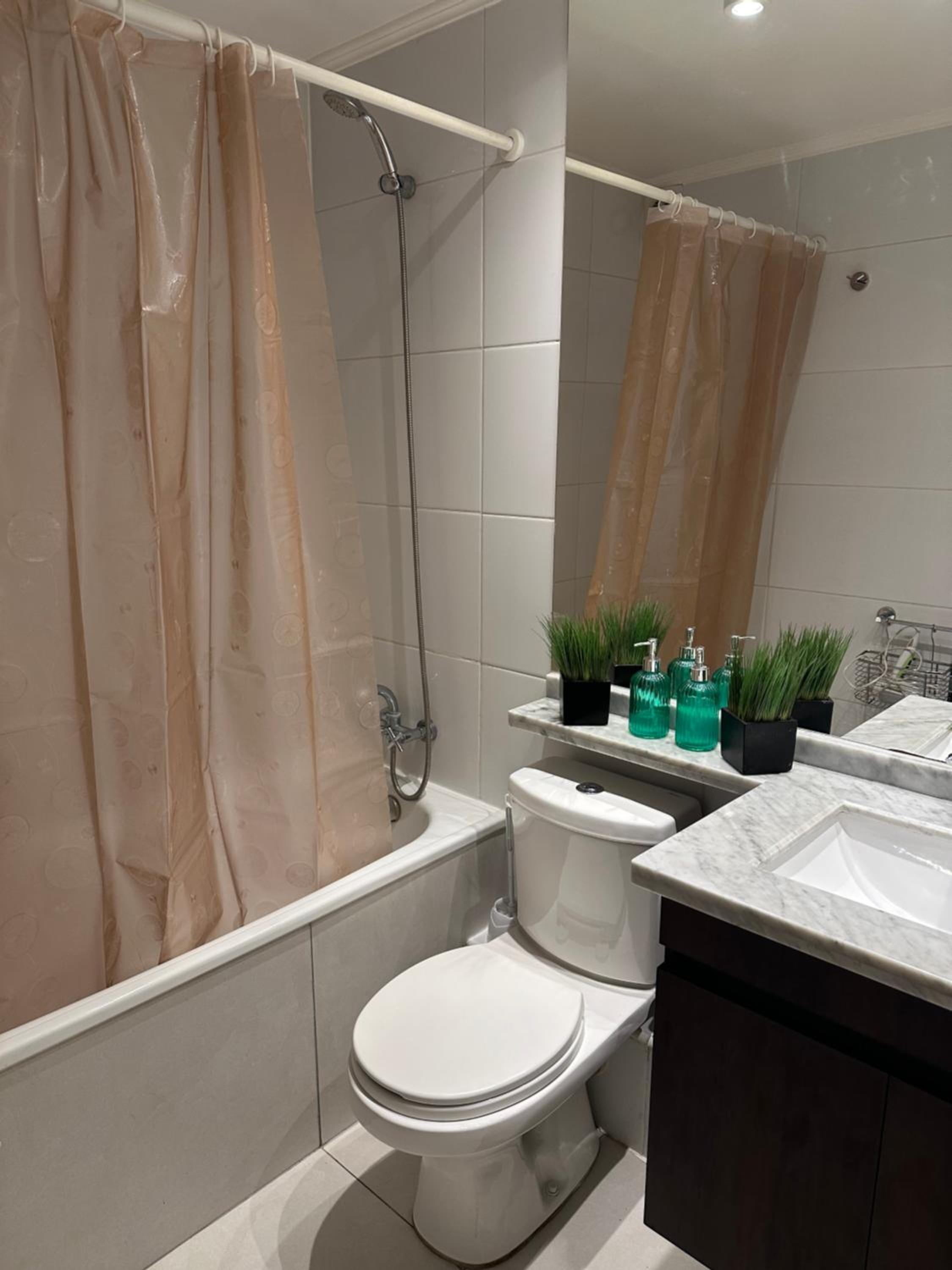 Departamento un ambiente