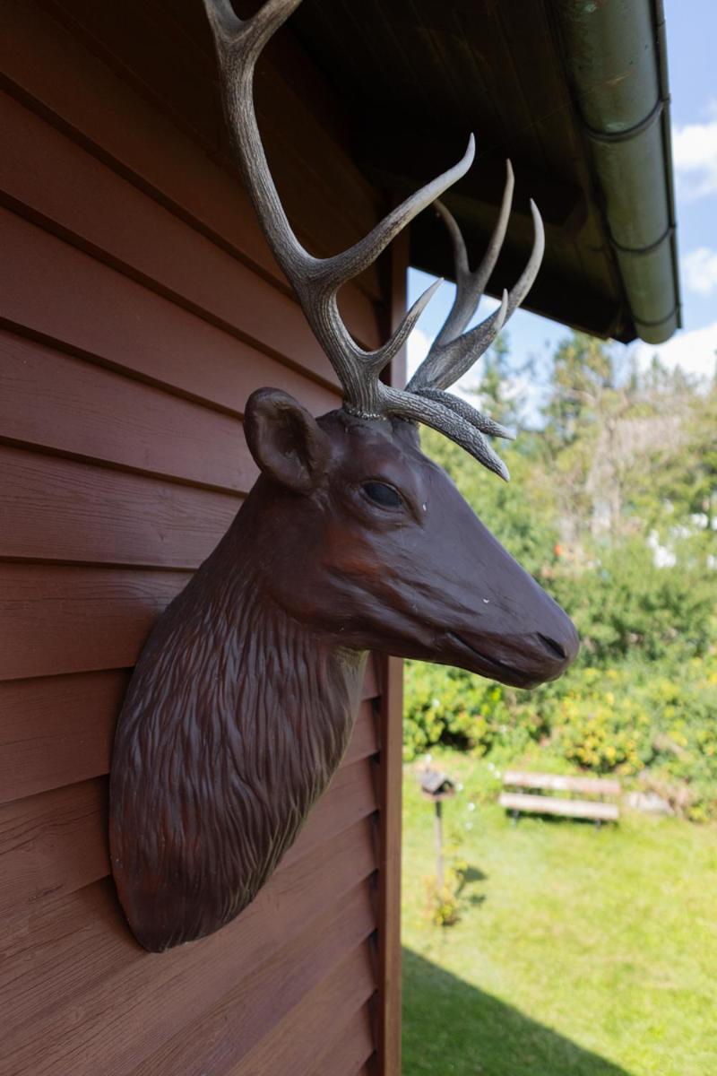 Das Hexenlandhaus Tom, Oberharz, mit Sauna