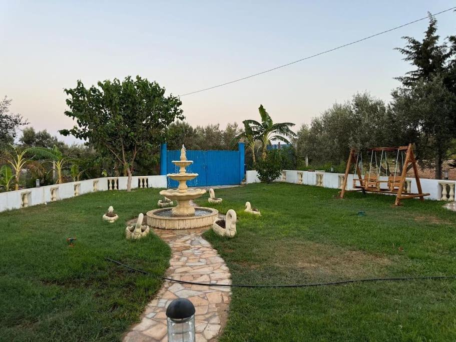 Photo 19