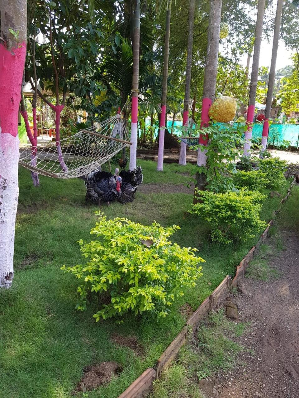 Photo 10