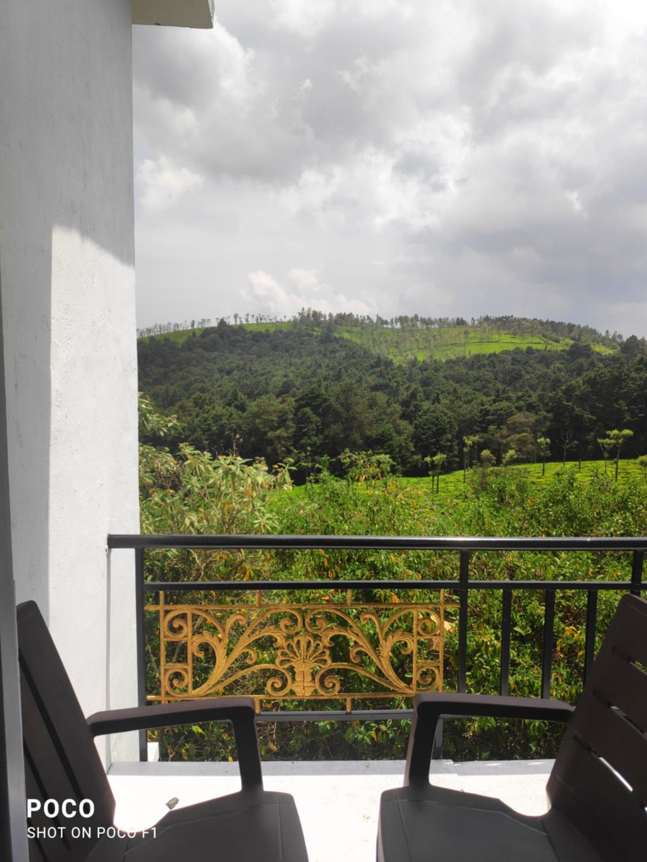 Lush Green View Cottage Tea Garden View