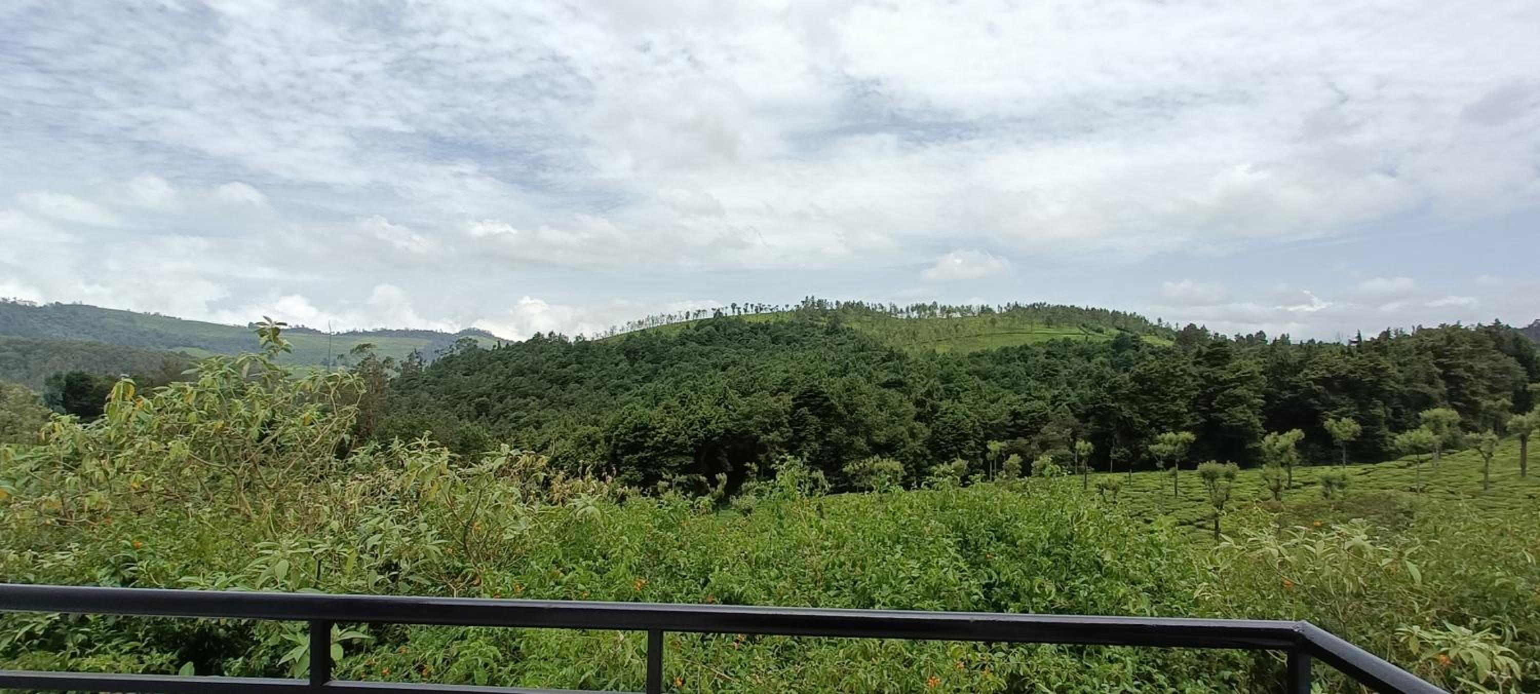 Lush Green View Cottage Tea Garden View