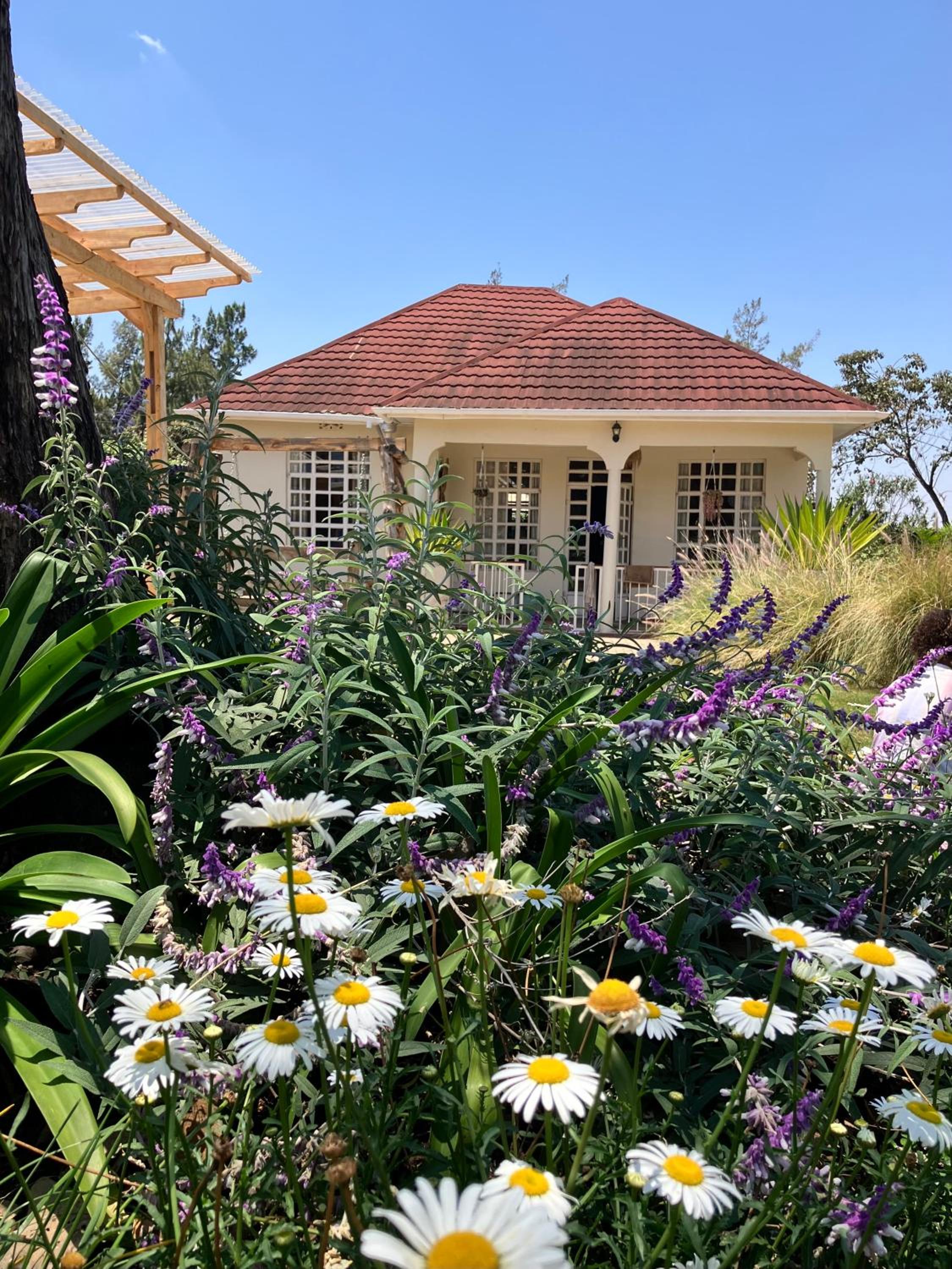 Allamanda House Meru