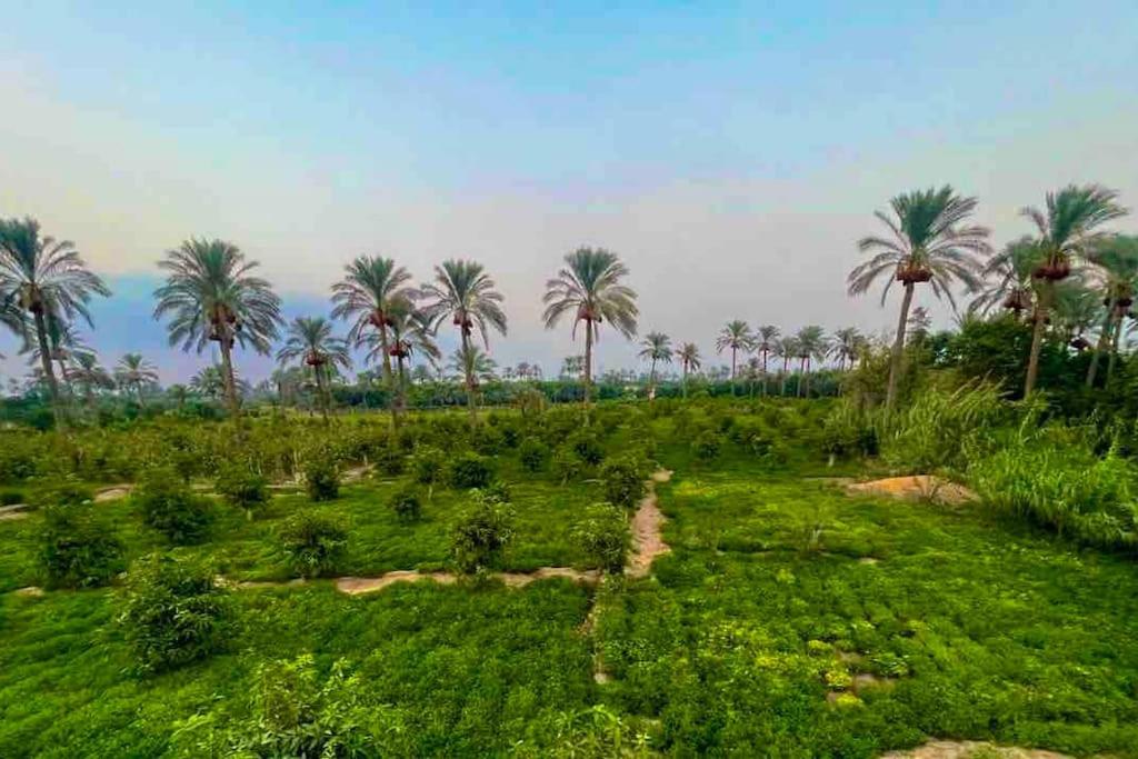 4-BRS Entire FarmHouse in Ismailia Green Paradise view 2