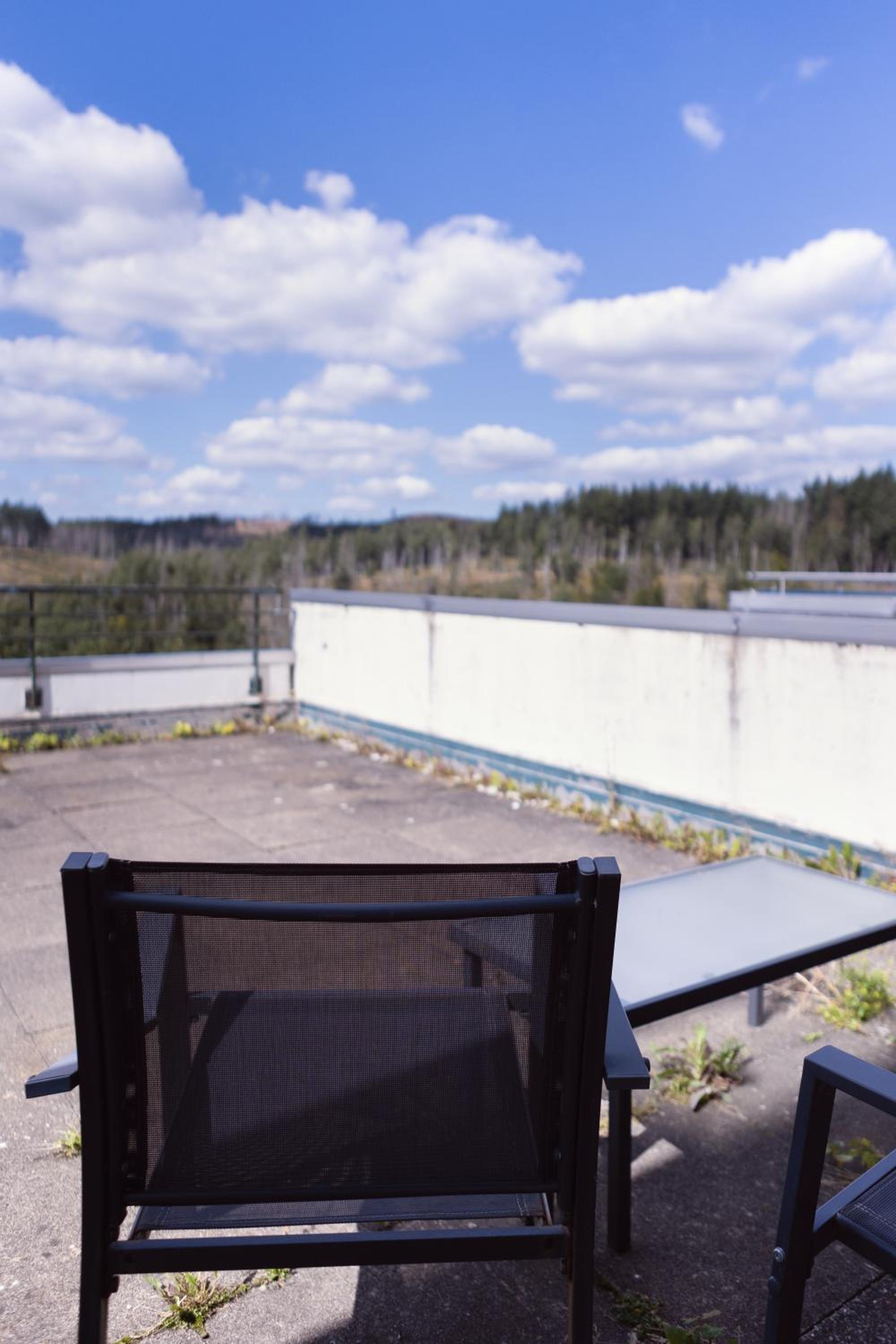 Terrassenhaus im Harz, Pool, Sauna, WLAN
