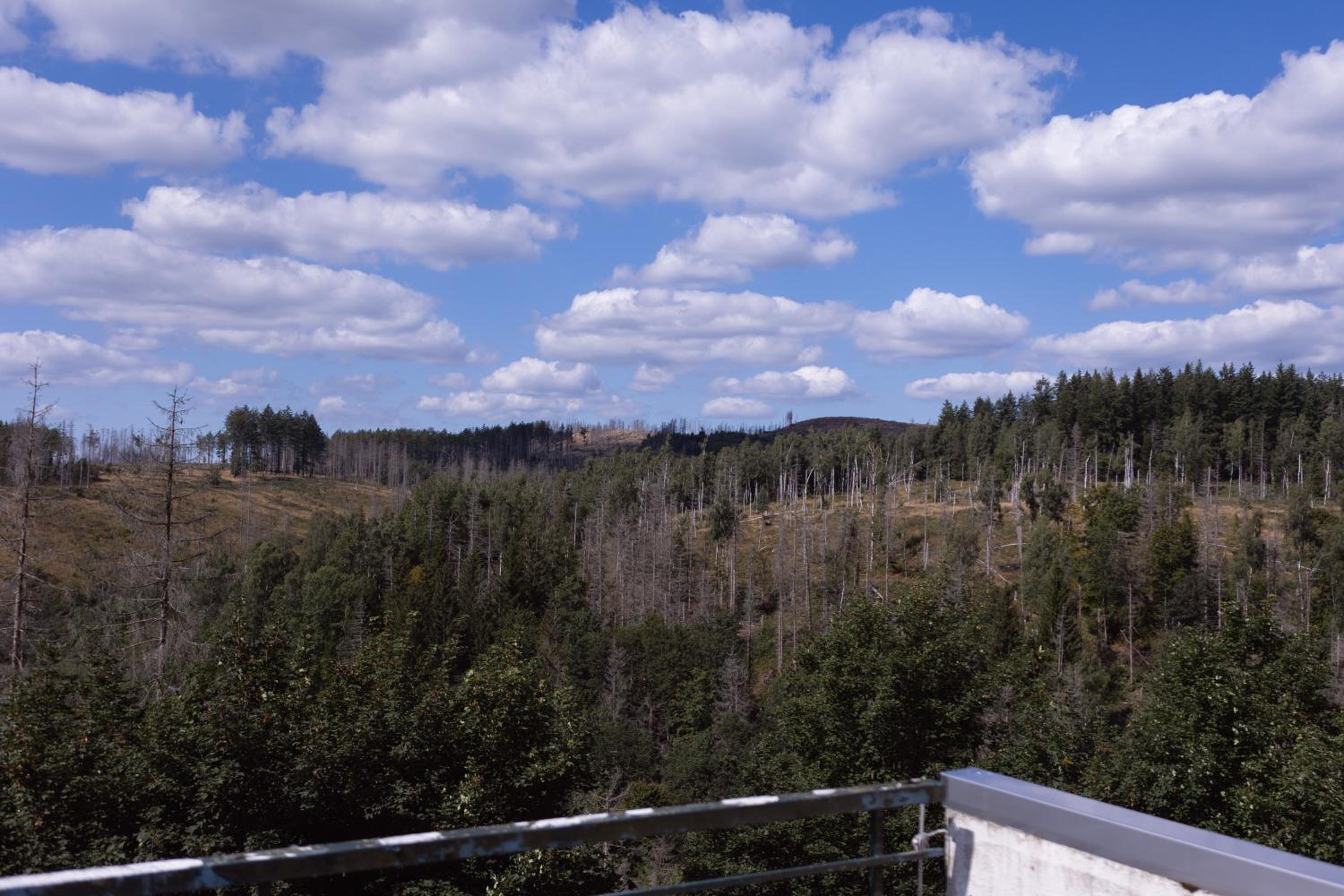 Terrassenhaus im Harz, Pool, Sauna, WLAN
