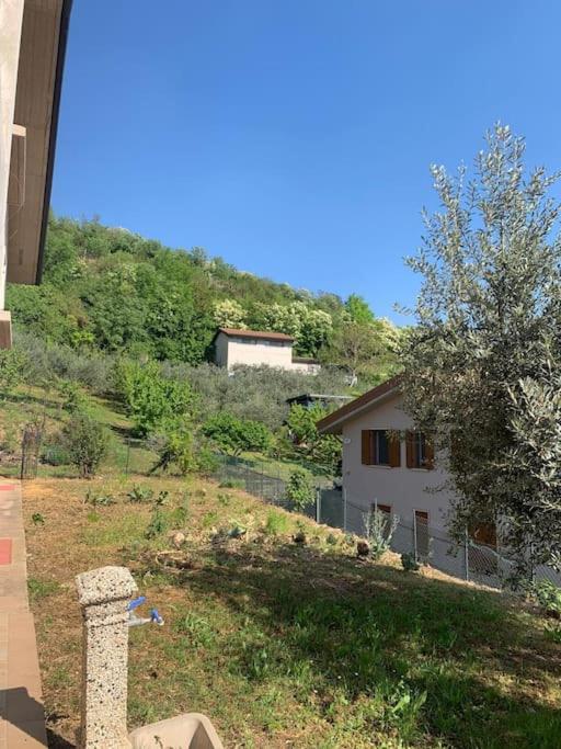 La casa dei nonni view 3