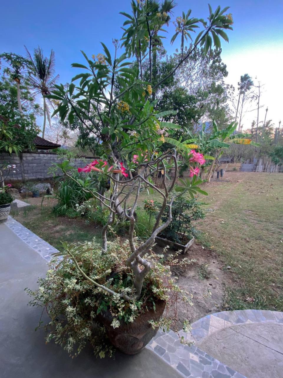Photo 19