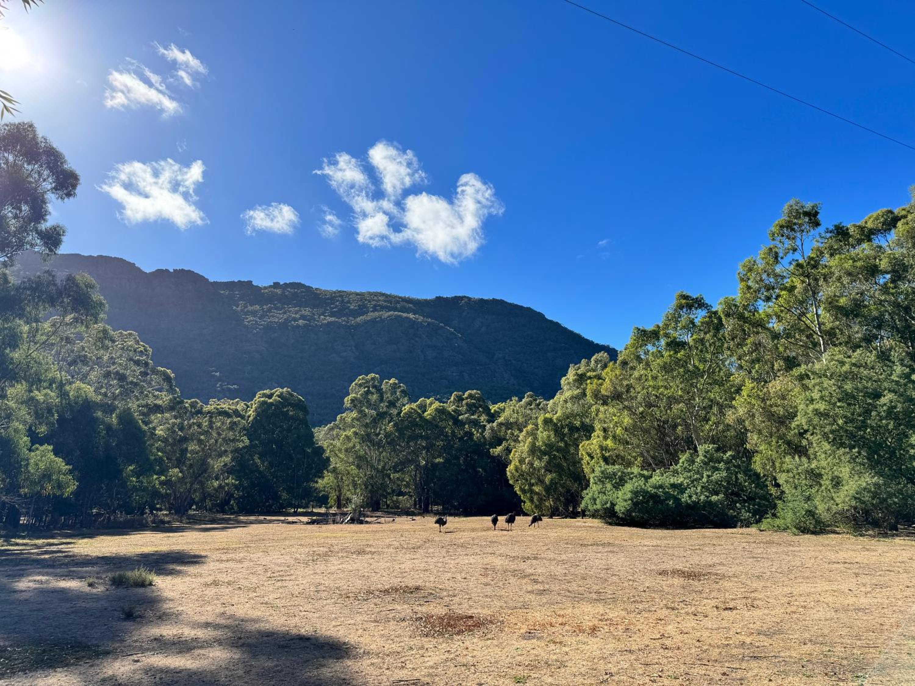 Halls Gap Log Cabins view 3